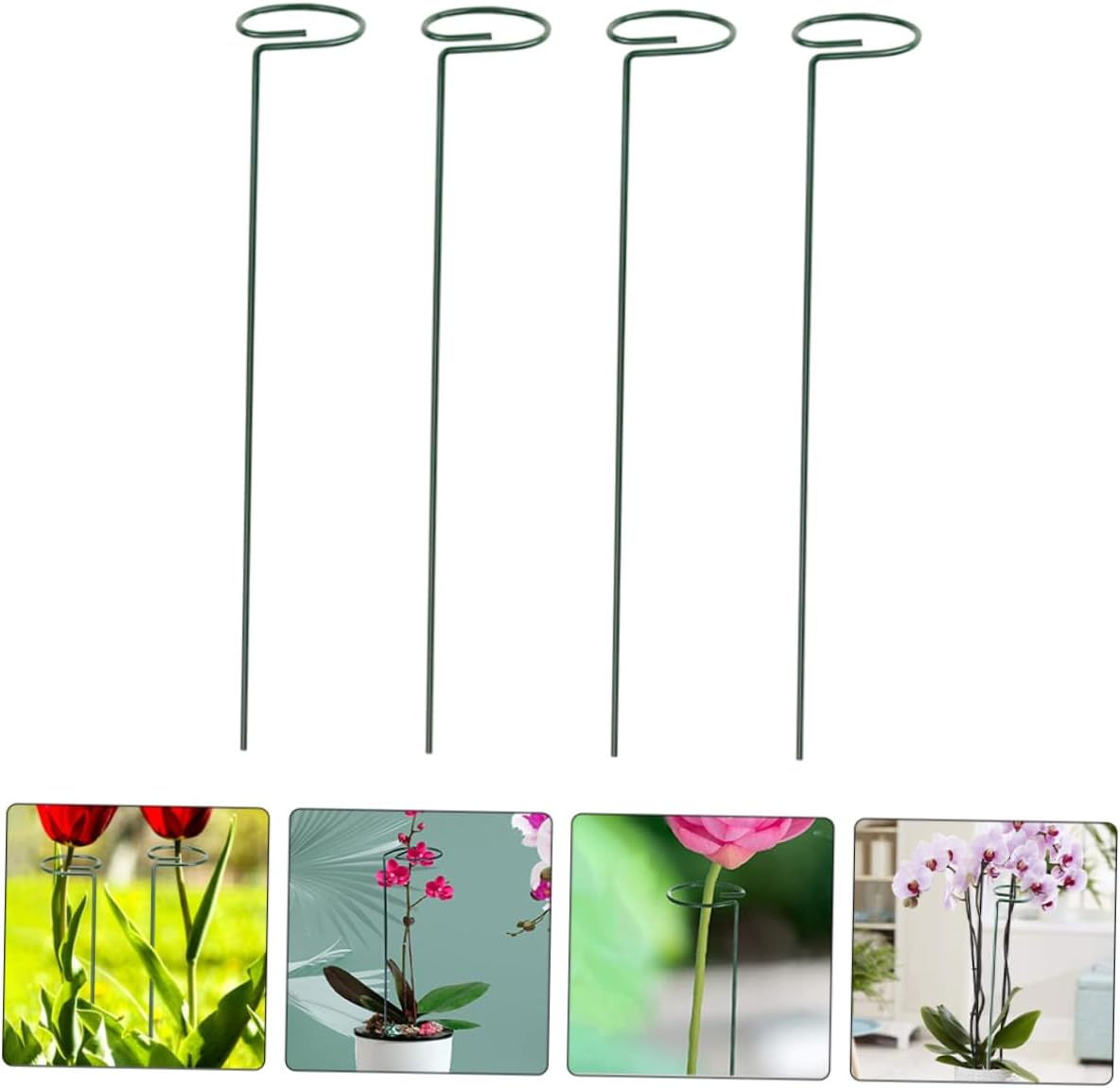 PHENOFICE 12Pcs Indoor Plant Stakes for Potted Plants Support Stakes Trellis Indoor Climbing Trellis Netting Garden Supply Accessories image number 5