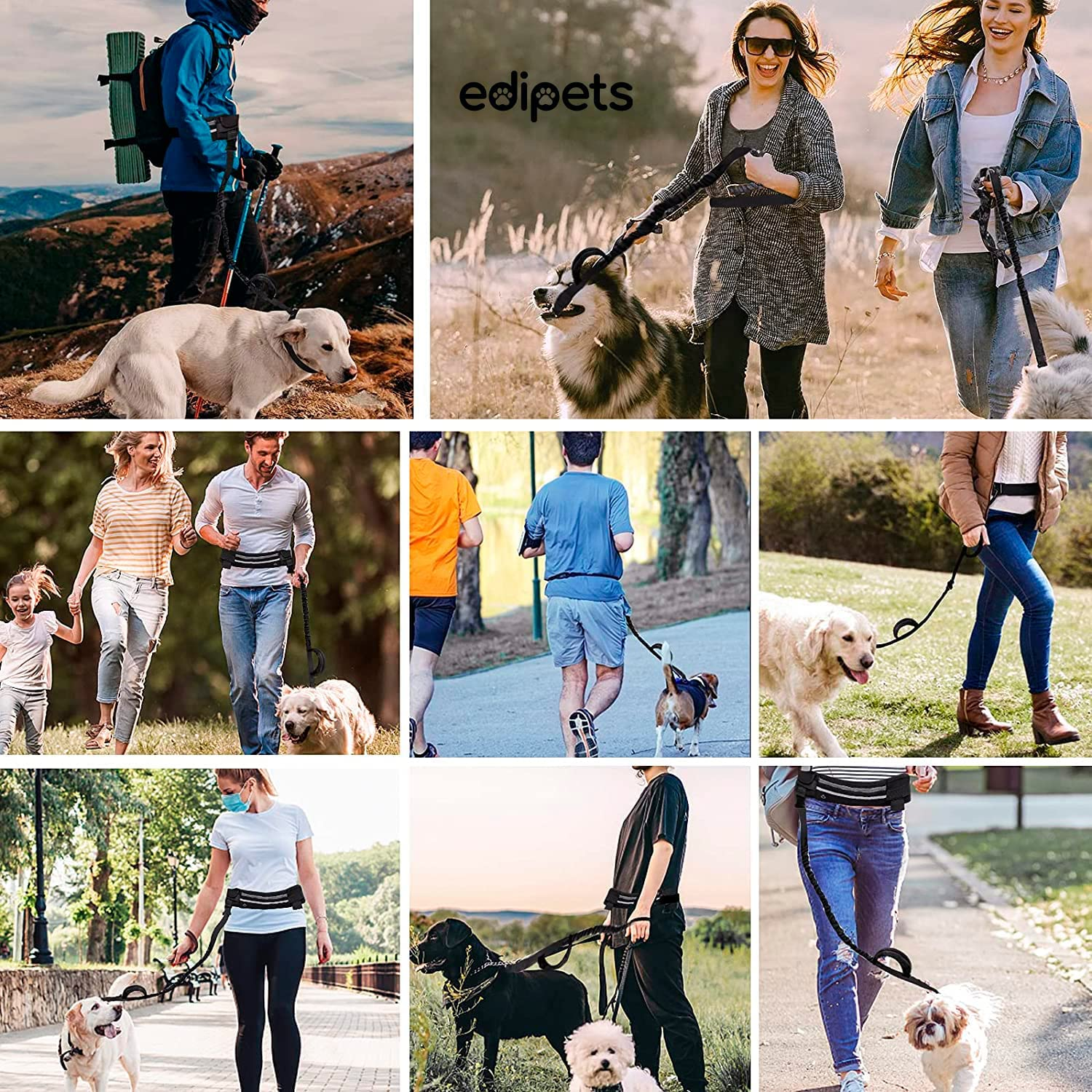 Edipets, Jogging Lead Dogs, Hands-Free, Running, Hiking, Webbing, Anti-Stress, Reflective, 160-220 Cm (Black) image number 2