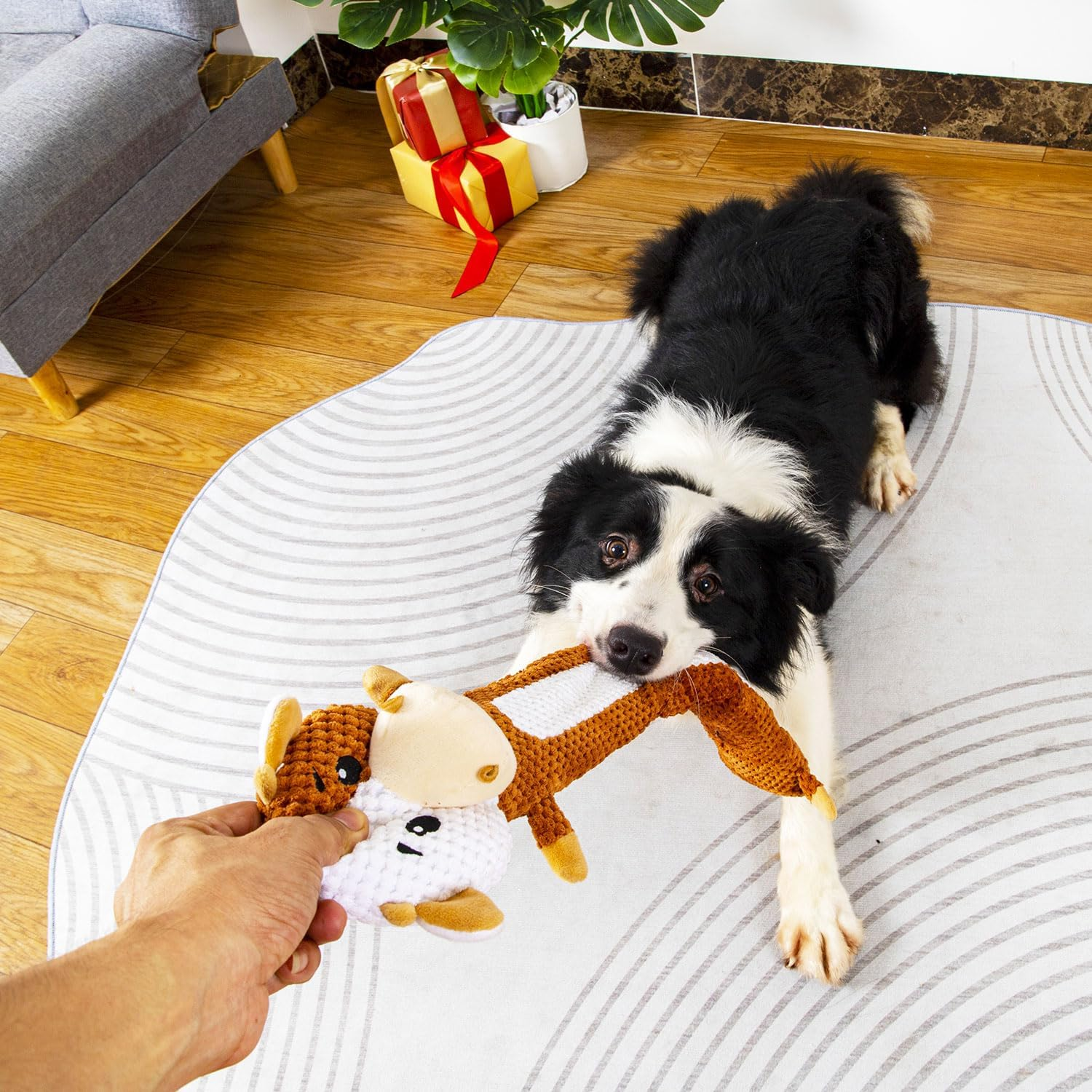 Intelligence Toy for Dogs - Sniffing Toy, Squeaky Puppy Toy, Interactive Dog Toy, Puzzle Toys for Dogs, Cattle Interactive Toy image number 4