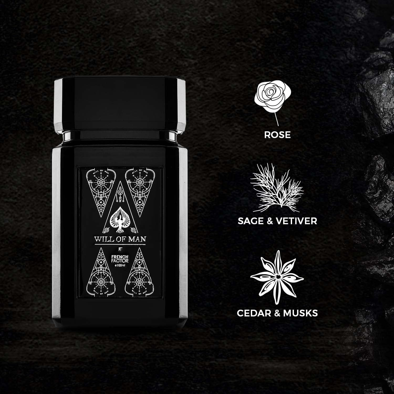 French Factor Will of Man Perfume for Men (100Ml) image number 5