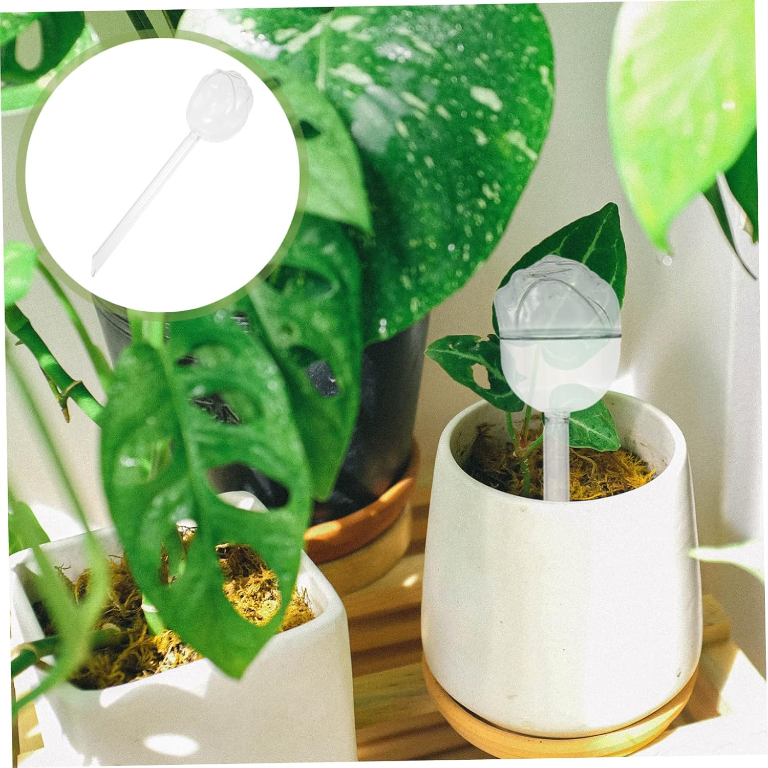 Yardwe Automatic Machine for Plants Glass Bulb Self- System for Indoor Plant Care image number 5