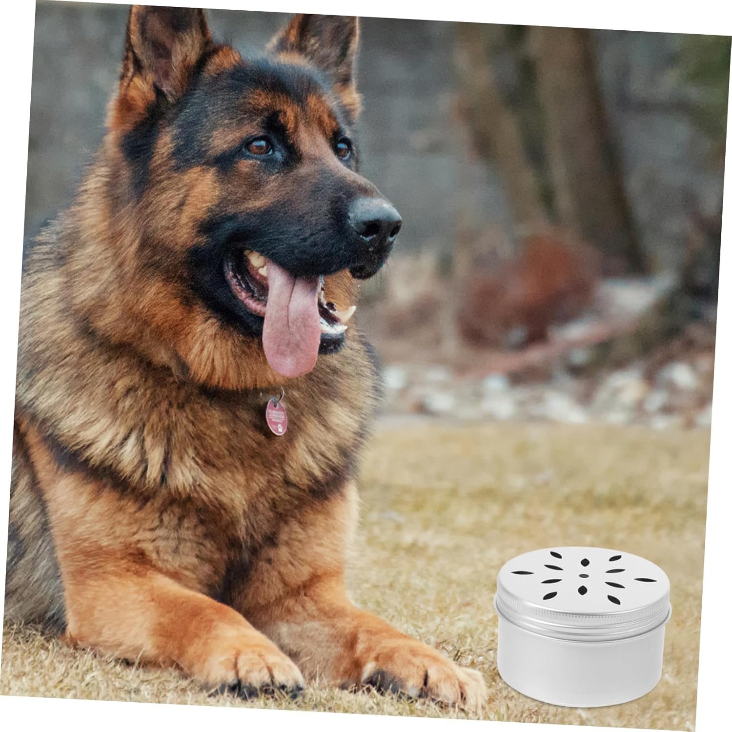 WOONEKY Pack of 10 Dog Training Containers for Dog Food, Metal Container with Lid, Puppy Dog Odour Sniffing Box, Odour Training Case, Dog Training Box, Aromatherapy, Puppy Work image number 1