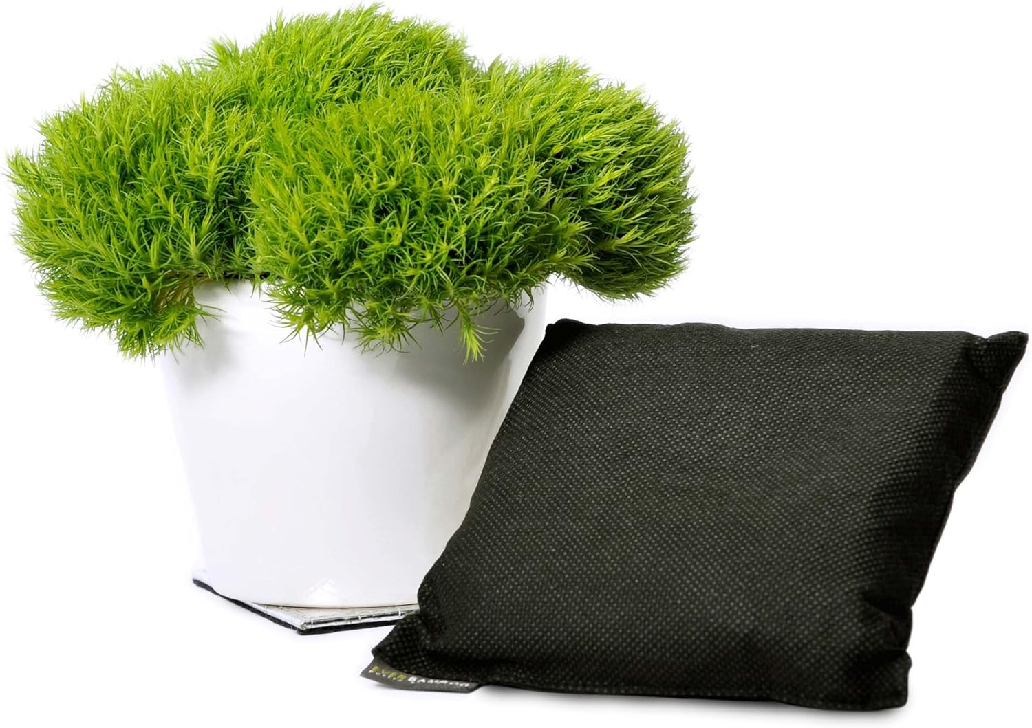 Ever Bamboo Room Deodorizer & Dehumidifier W/Natural Bamboo Charcoal (200G) image number 2