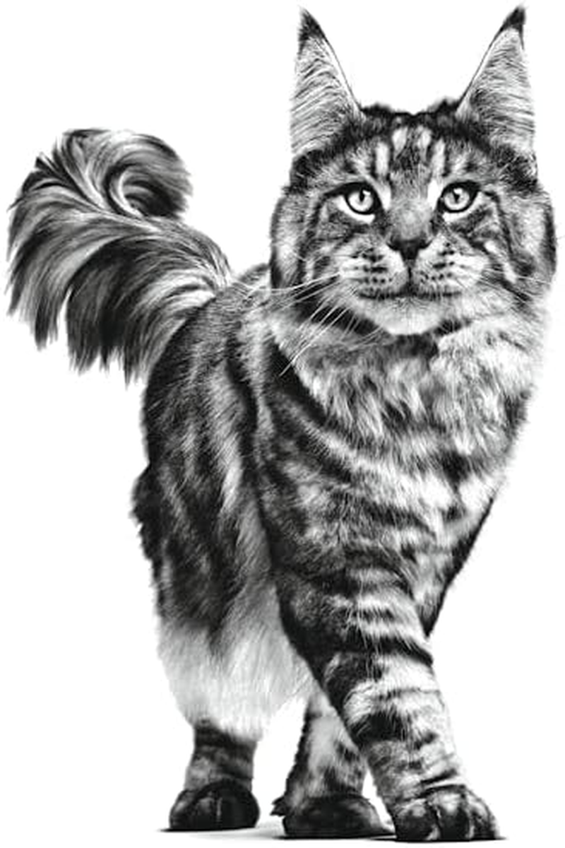 Royal Canin Vet Satiety Feline 85G image number 1