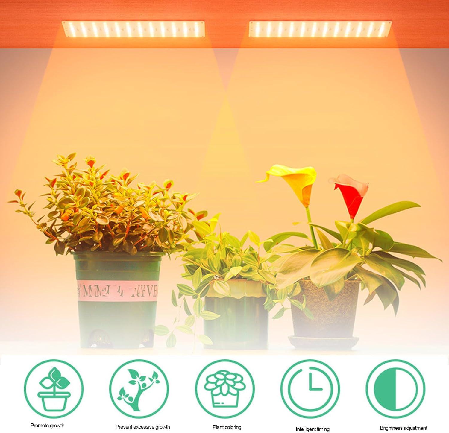 Panel Grow Lights,Led Grow Light LED Grow Lights for Indoor Plants,24 Hour Timer Function Grow Light,For Germination Flowering Fruiting image number 5