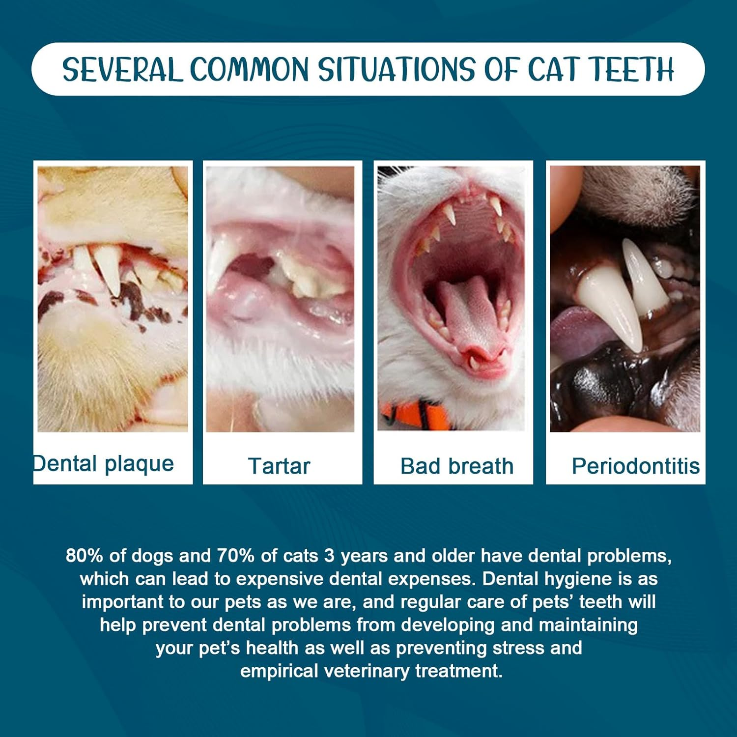 Enzymatic Dog Toothpaste, Teeth Cleaning and Fresh Breath Dental Care Gel, Pet Dental Care Toothpaste, 100G(3.5 Ounces), Mint Flavor image number 3