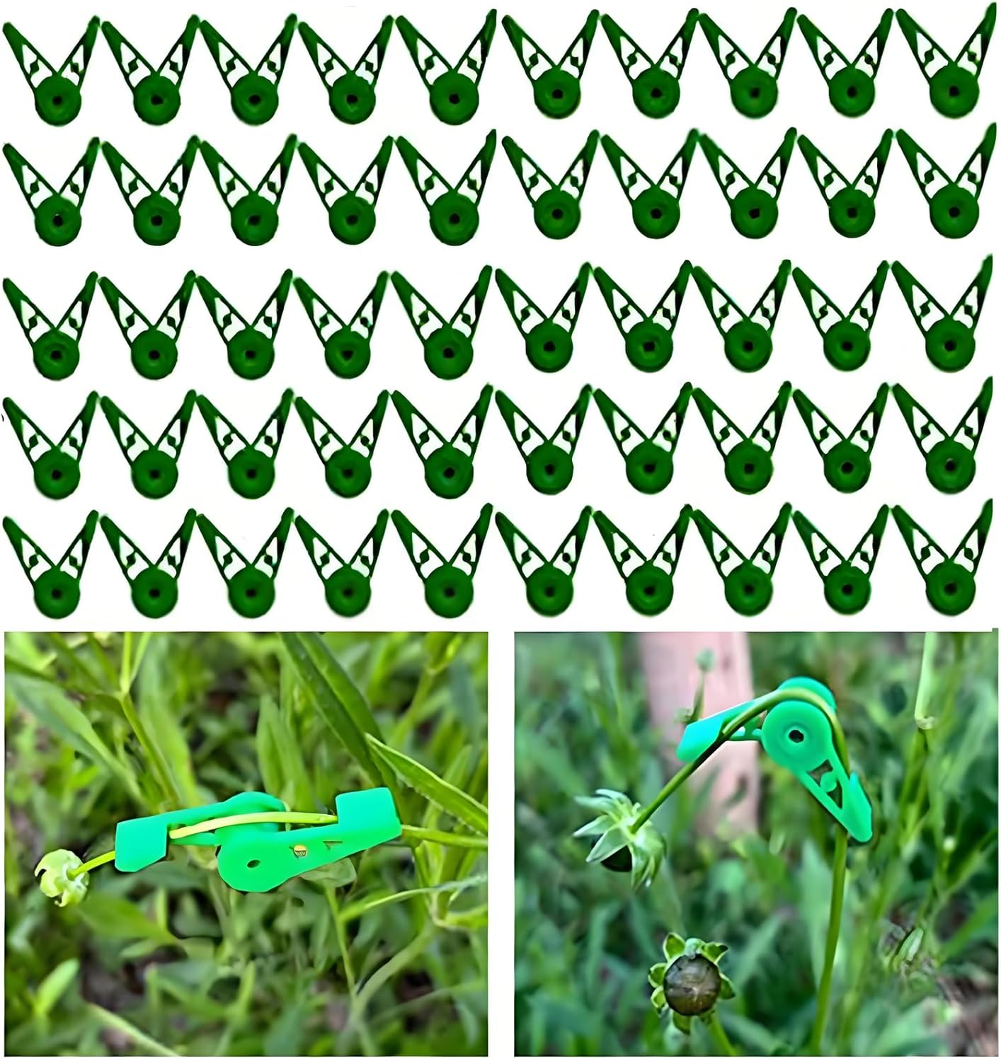 50 Pcs Low Stress Training Clips - 360&deg; Adjustable LST Plant Bender Clips for Branches & Vines, Reusable Plant Training Tools for Garden, Indoor & Outdoor Plants (Green)