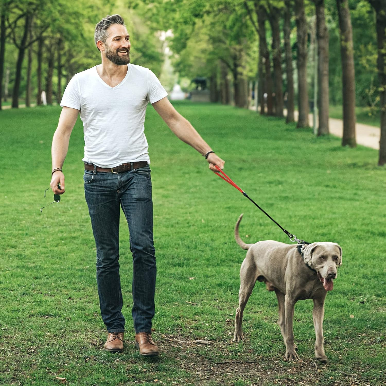 Heavy Duty Dog Leash, Chew Proof Metal Leash for Large Dogs (Up to 250Lbs), 5Ft Wirerope Dog Leashes with Soft Silicone Grip,Black image number 1