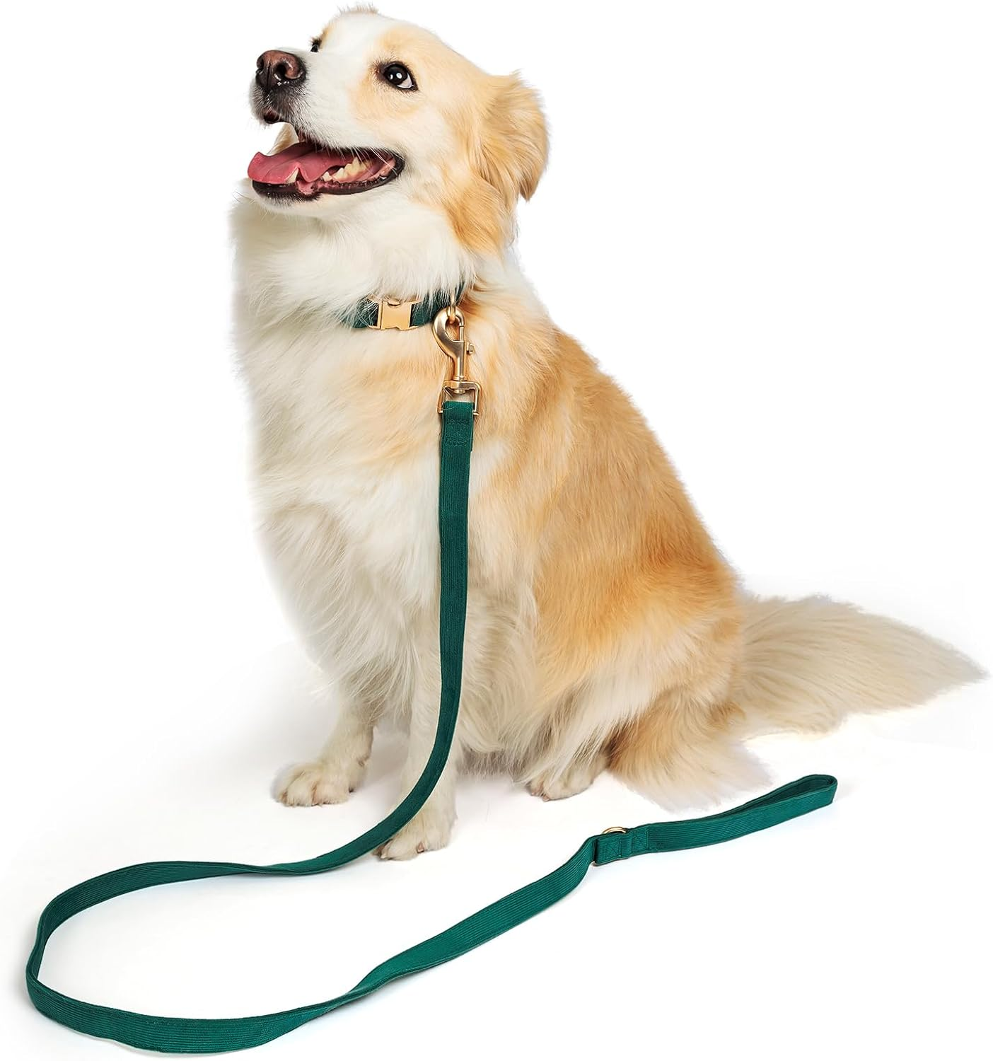 YUDOTE Dog Collar and Lead Set Small,Soft Non-Irritant Corduroy Collar Leash Matching Combo for Daily Walking,Green image number 4