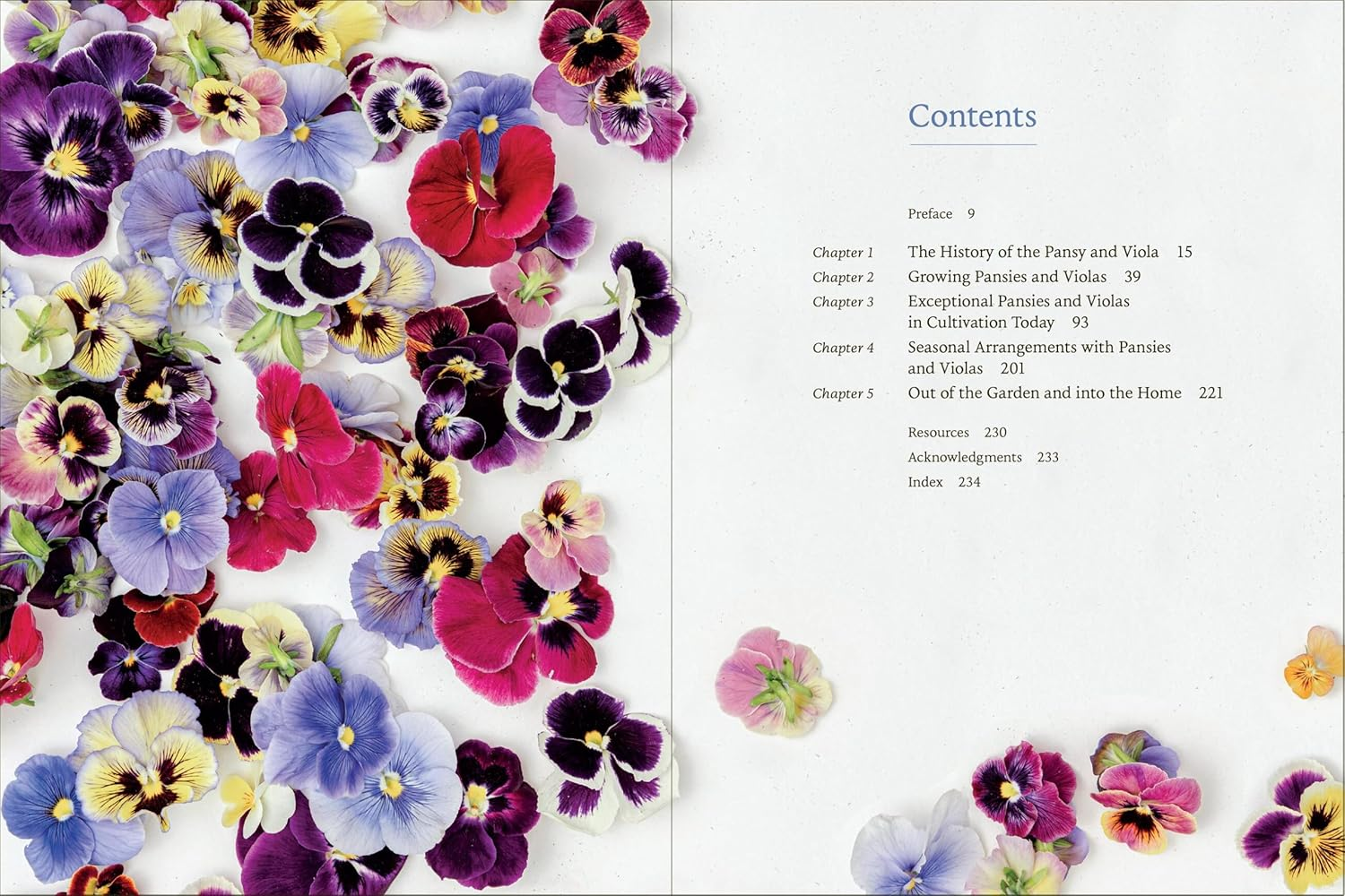 Pansies: How to Grow, Reimagine, and Create Beauty with Pansies and Violas image number 3