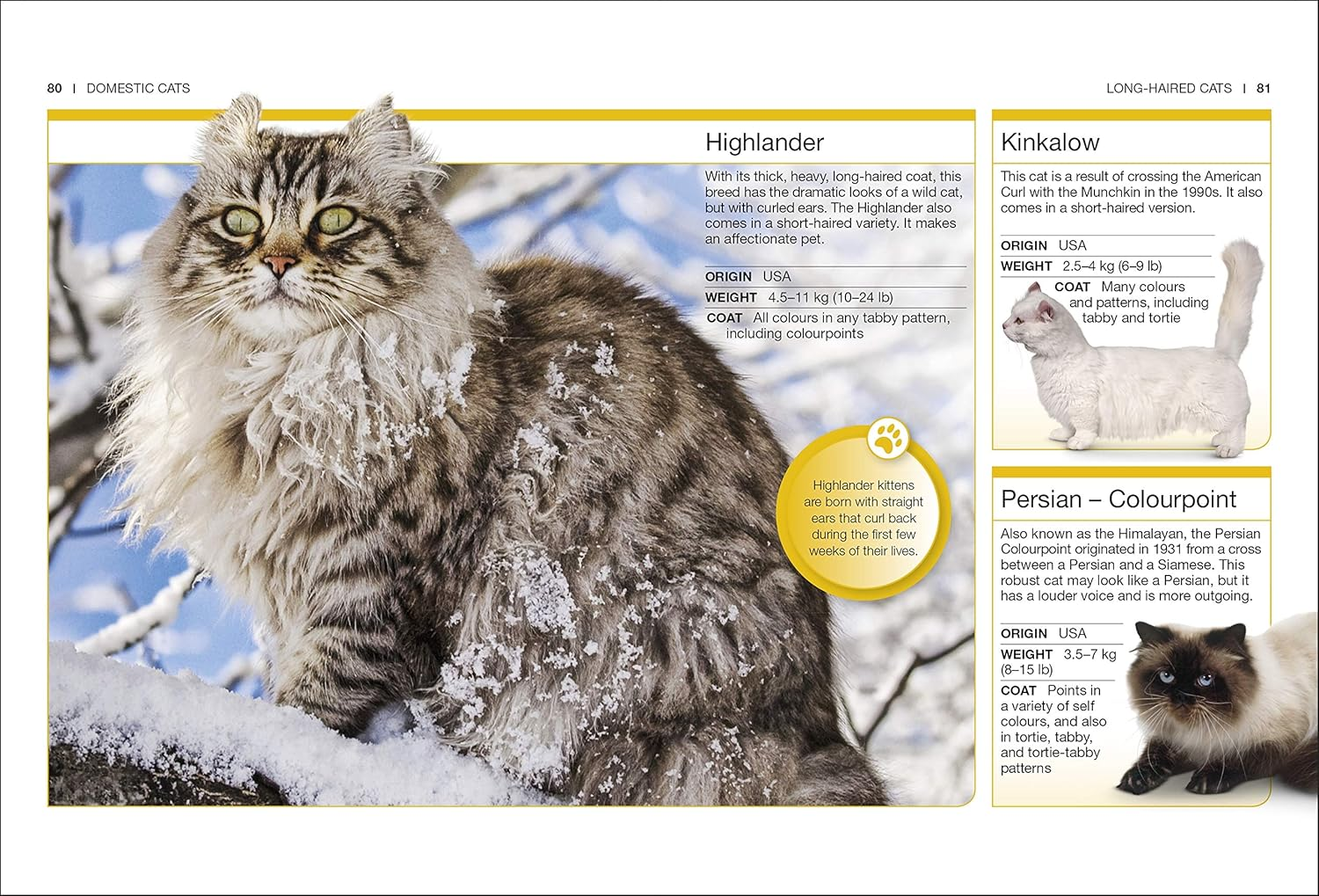 Cats: Facts at Your Fingertips image number 2