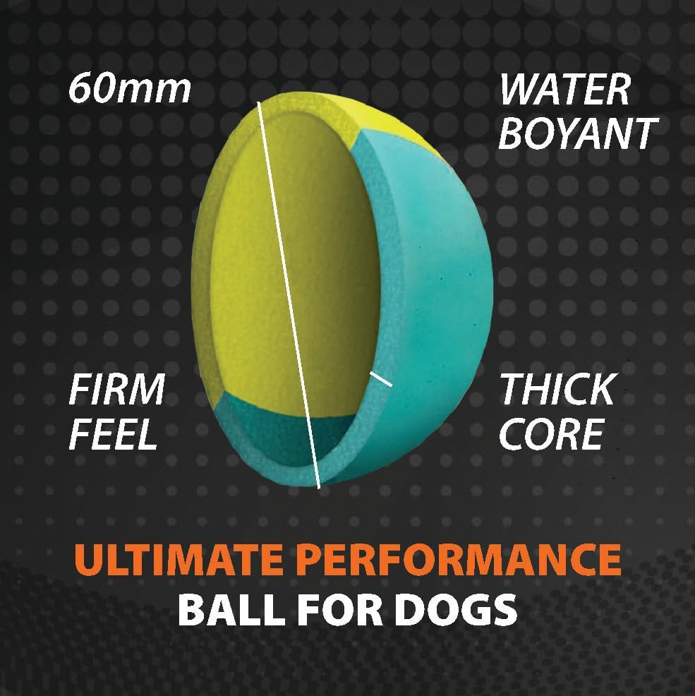 SPORTSPET High Bounce Natural Rubber Dog Balls (60Mm) (Smoothie Edition 6 Pack) image number 6