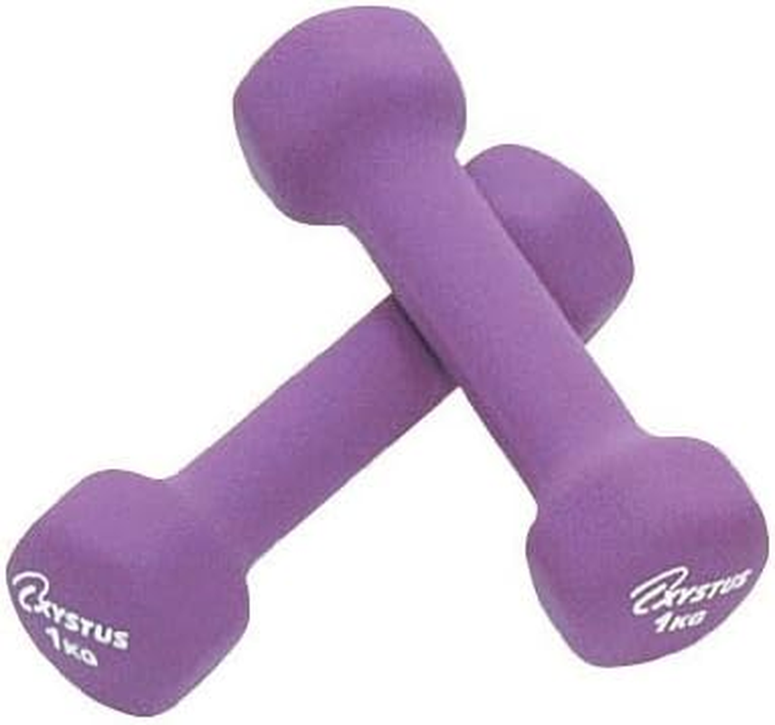 TOEI LIGHT XYSTUS Rubber Coated Dumbbells, Set of 2, Rubber Surface Coating