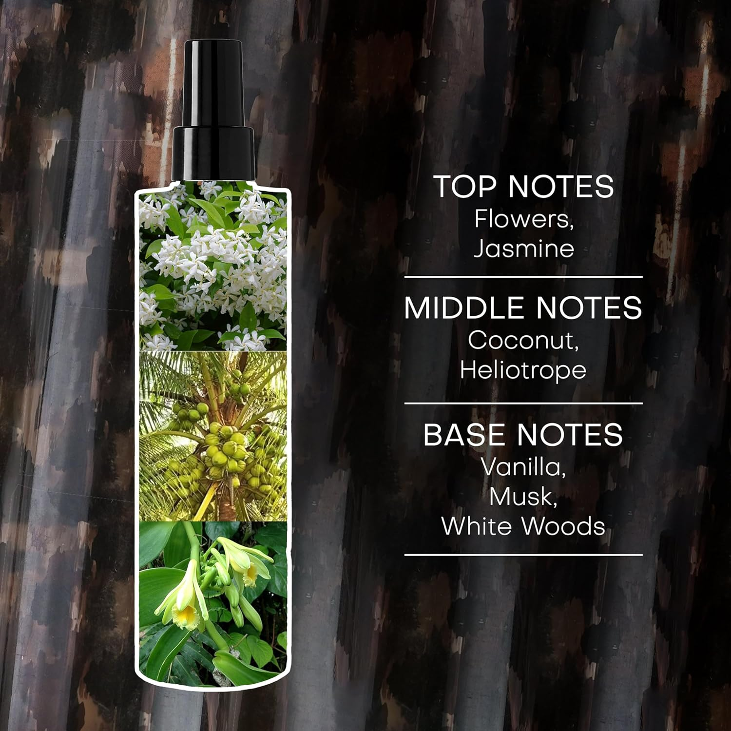 Rachel Zoe Empowered for Women 10 Oz Body Mist image number 4