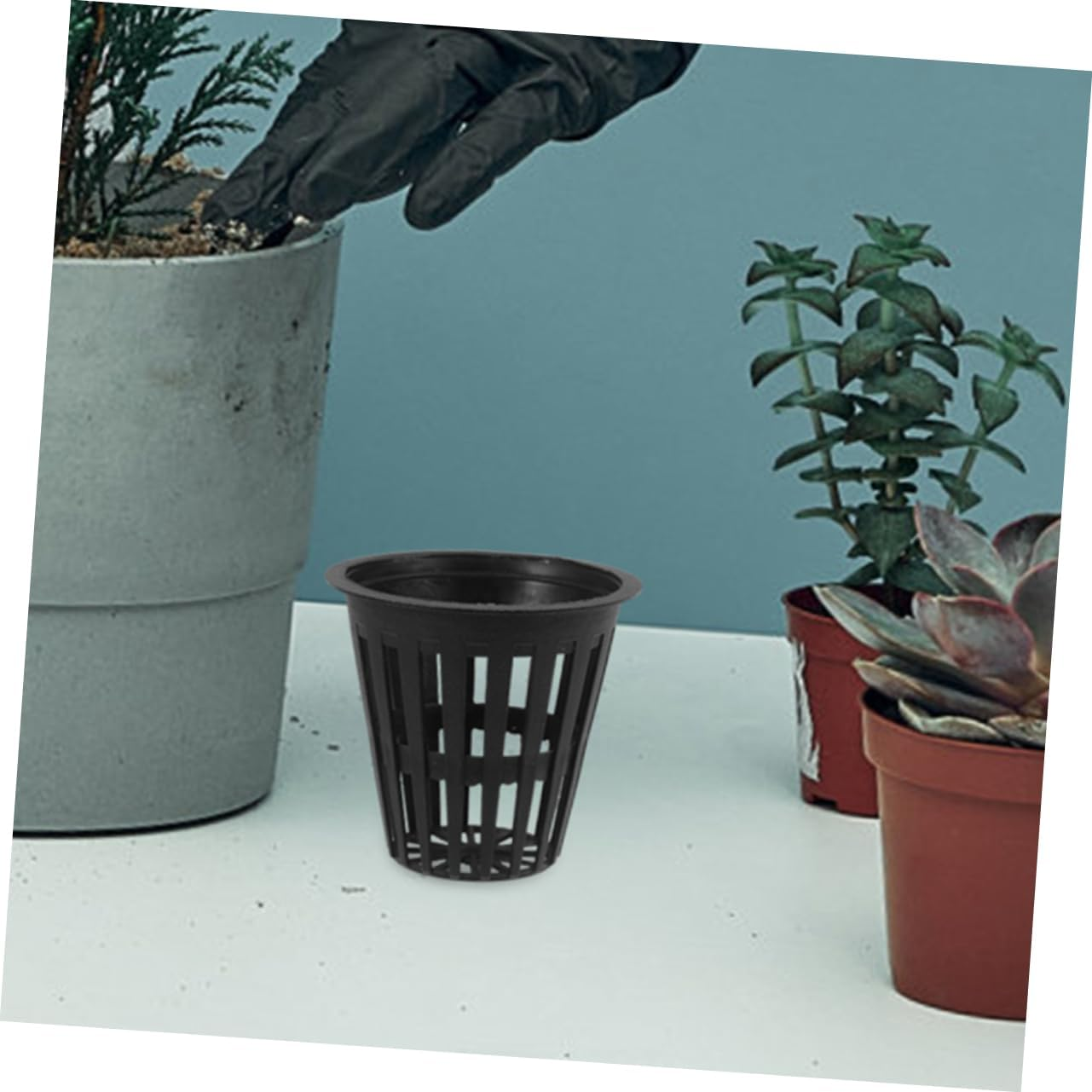 SUPVOX 5Pcs Hydroponic Planting Baskets Slotted Mesh Cups for Hydroponics Aquaponics Indoor Outdoor Gardening image number 4