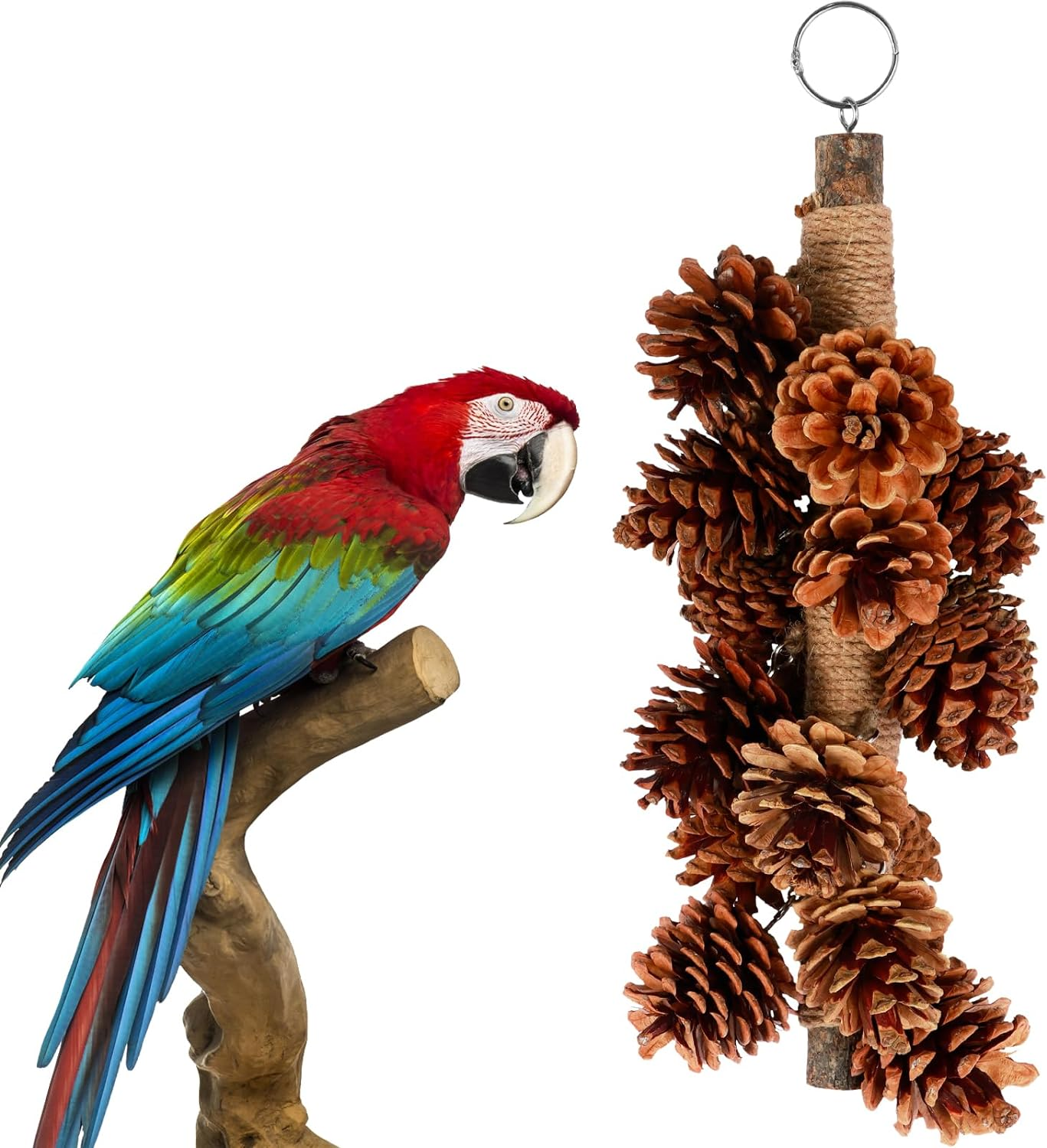 Parrot Chewing Toy with 18 Pine Cones Natural Wooden Parrot Toys Hangable Bird Parrot Chewing Toy Wooden Bird Chewing Toy Suitable for Cockatiels, Conures, Finches, Parrots, Macaws, Parrots image number 3