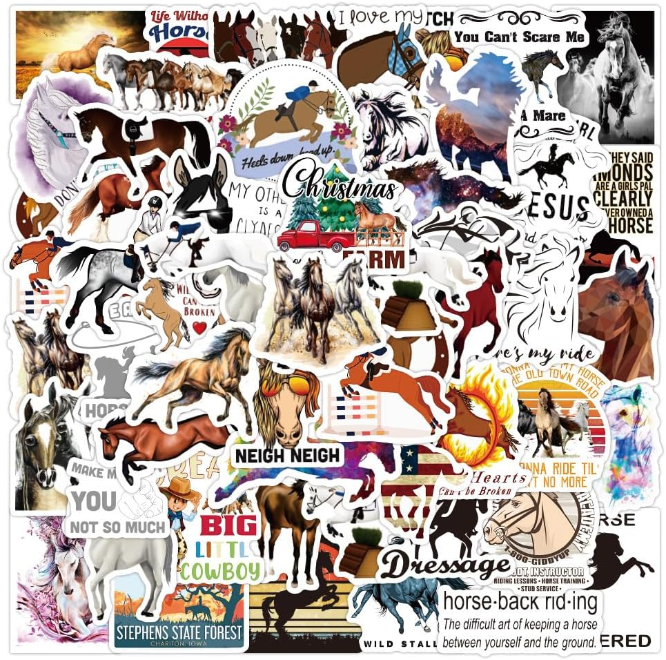 100PCS Horse Riding Stickers, Aesthetic Equestrian Vinyl Decals for Laptop, Water Bottles, Skateboard, Luggage & Guitar, Trendy Horsemanship Designs, Great for Horse Lovers & DIY Crafts