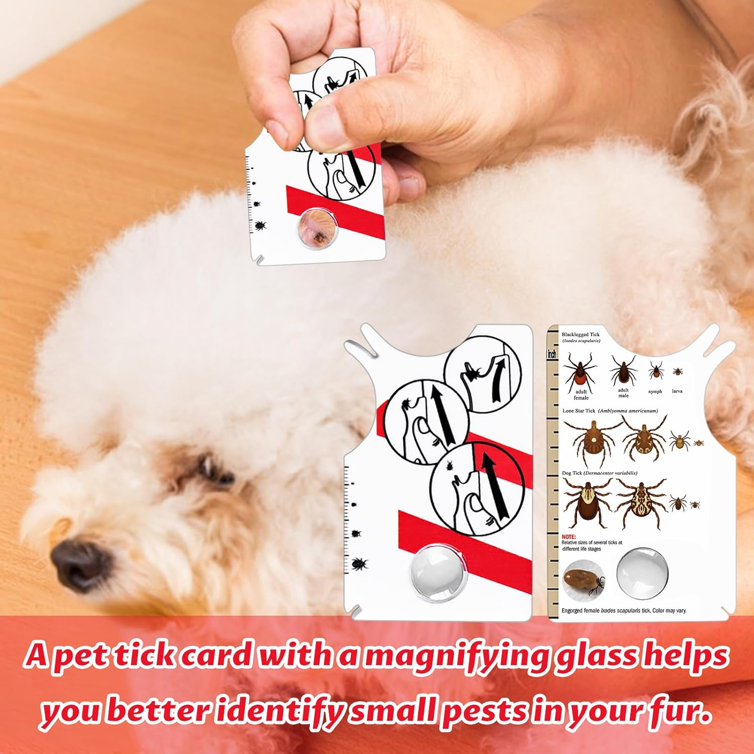 Colorich Pack of 2 Tick Cards Human, Tick Card Dog Cat Tick Removal Tick Card with Magnifying Glass for People Children Dogs Cats image number 4