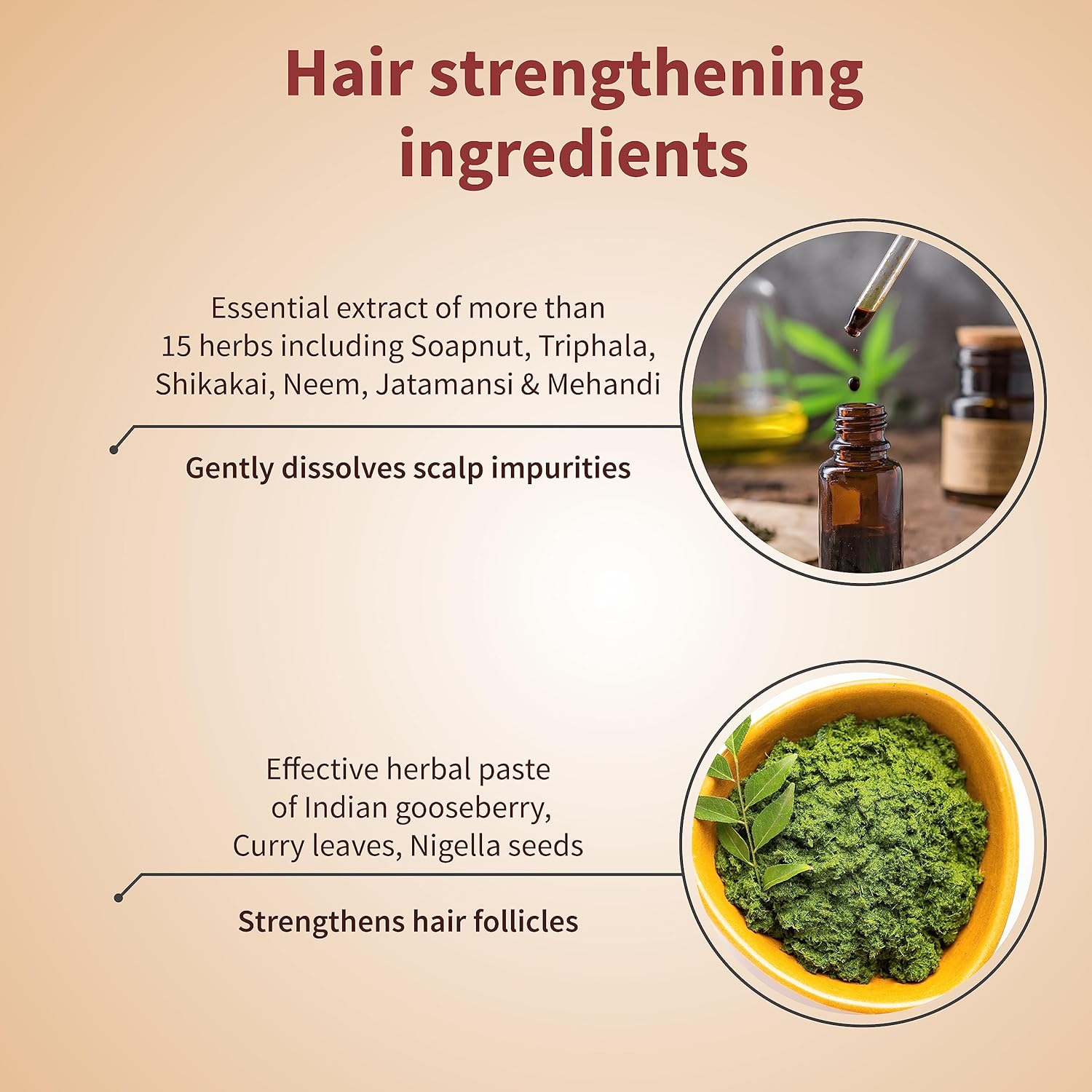 Ayouthveda Anti-Hairfall Shampoo & Protein Hair Oil Combo Pack for Healthy Hair Growth & Deep Nourishment | Fights Dandruff Control Hair Breakage & Hair Fall | Blend of Essential Oil & Herbal Extracts image number 2