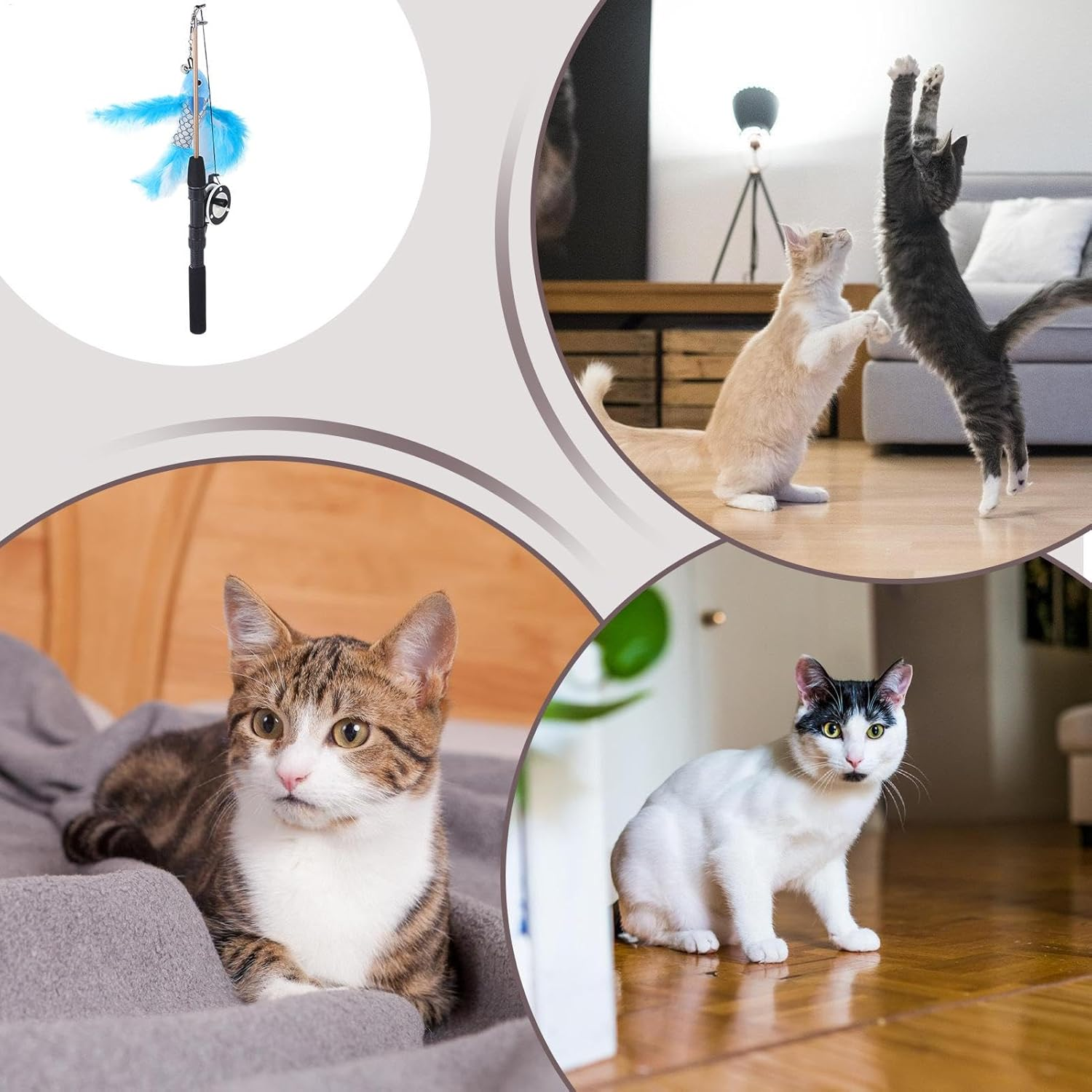 Lmyit Fishing Pole Cat Toy,Retractable Cat Wand Toy for Indoor Cats - Interactive Cat Toys Kitten Exercise Toys with 2-Section Fishing Pole for Indoor Outdoor Cats image number 5