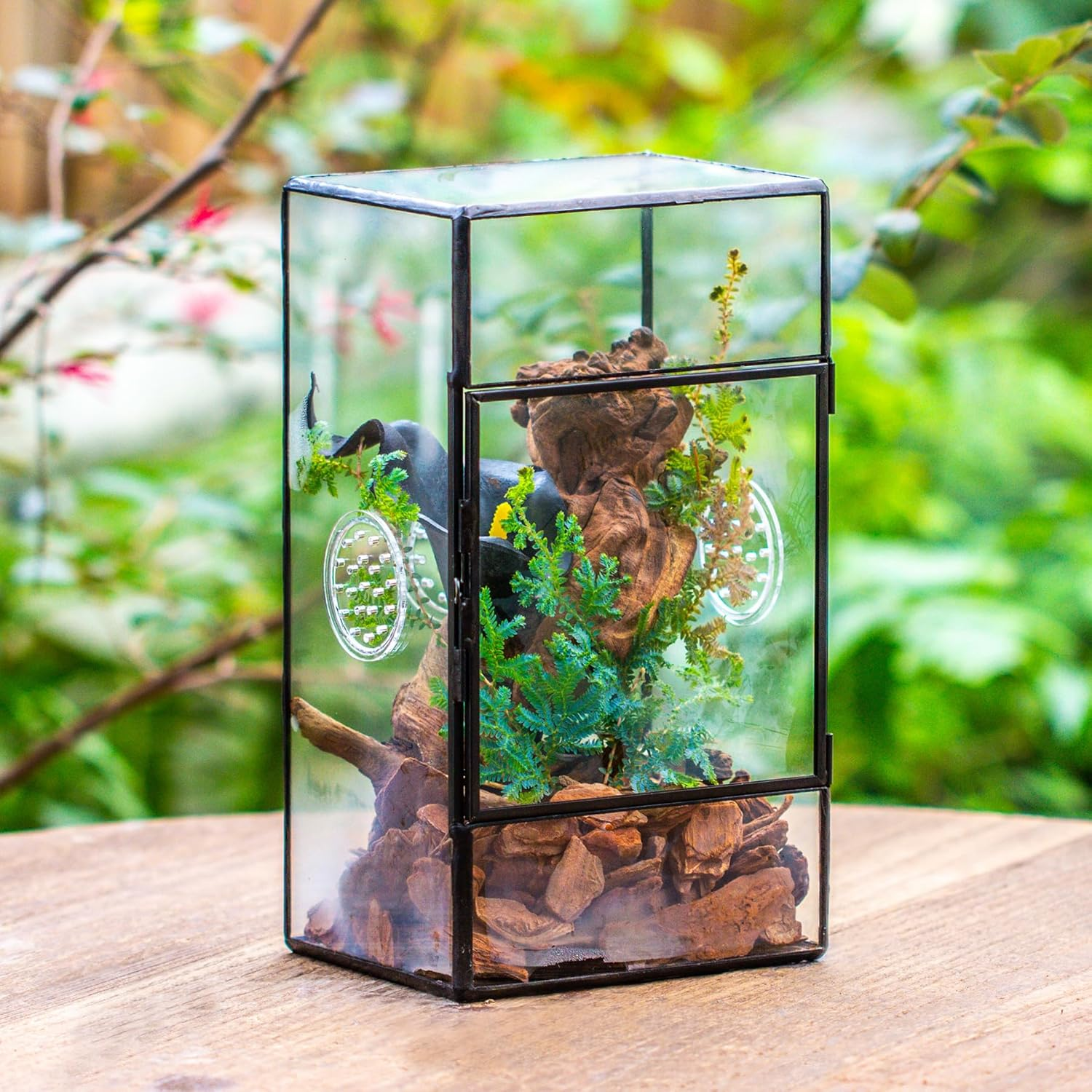 NCYP Glass Enclosure for Large Jumping Spider - 5.1" X 3.9" X 9" Front Opening Door Glass Plants Terrarium with 3 Vent Holes, Small Rectangle Insects Habitat, Black (Terrarium Only) image number 3