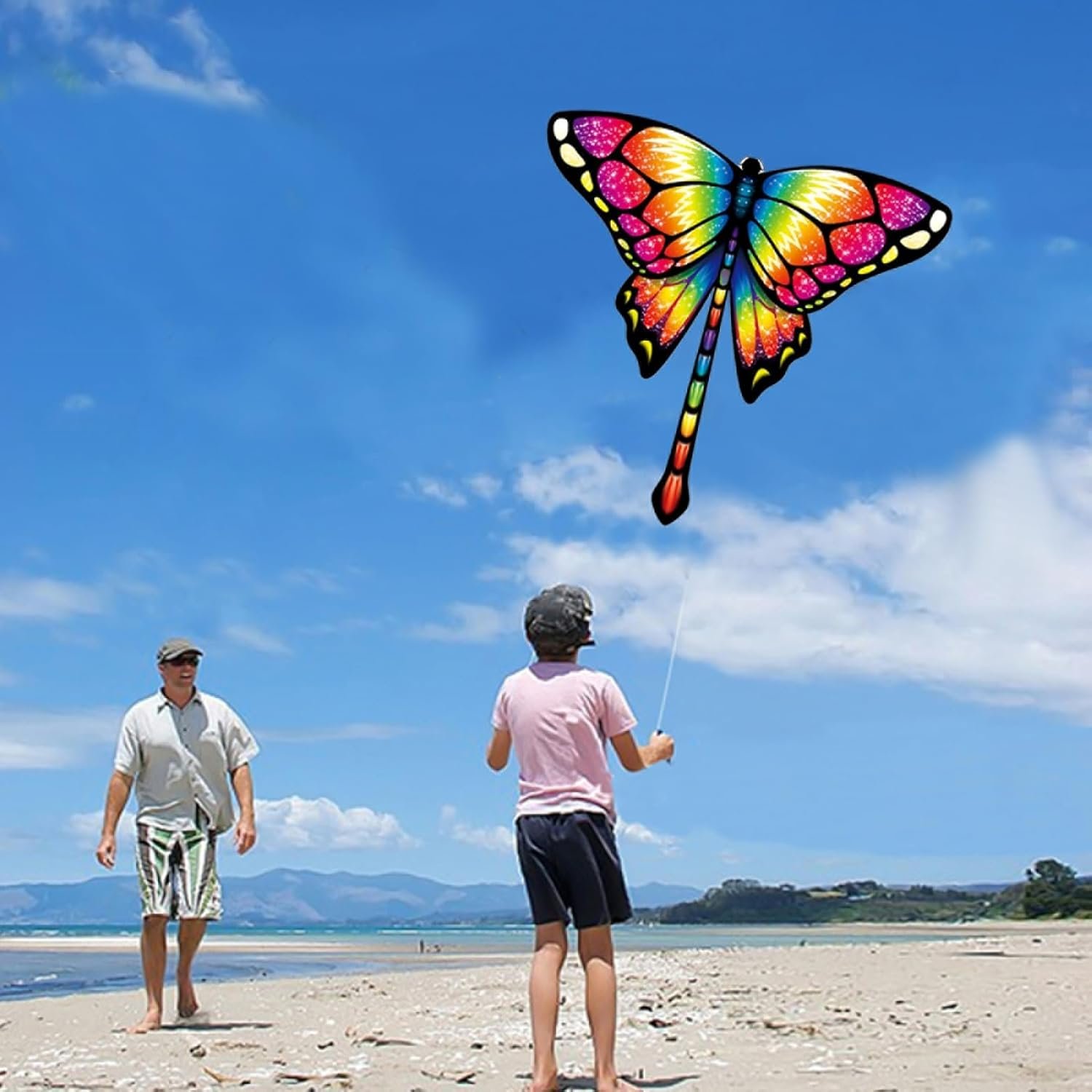 Hapurs Large Kite, Single Line Colorful Kites with Long Tail Beginner, Beach Kite with Winding Handle and Line for Kids and Audlts Beach Outdoor Park Games Activities