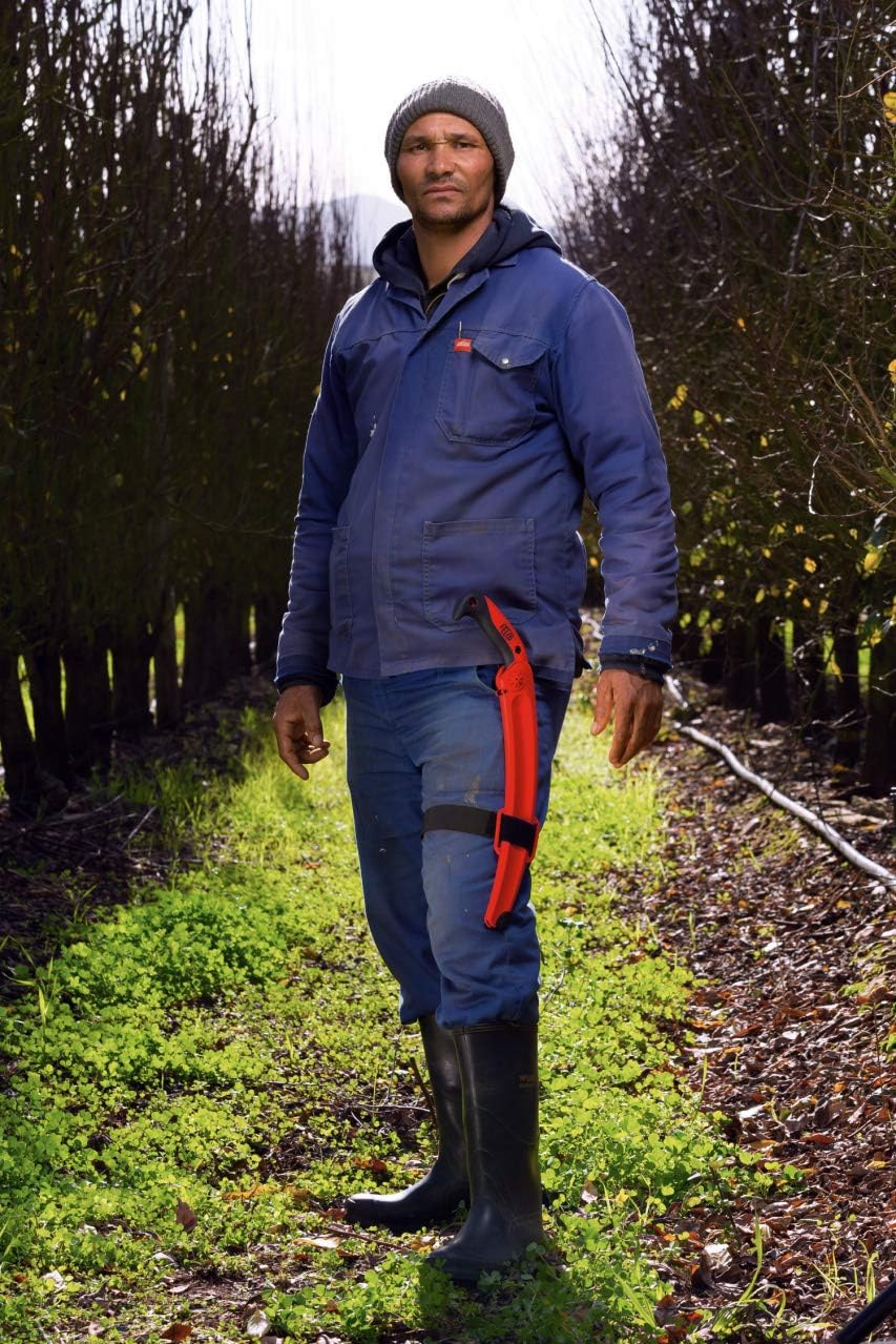 Felco Full-Stroke Pruning Saw, 33 Cm Blade Length image number 4