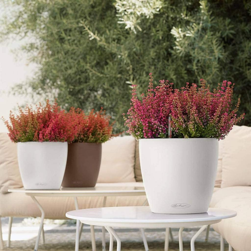 Lechuza Classico Color 21 Self-Watering Planter with Water Level Indicator, White image number 3