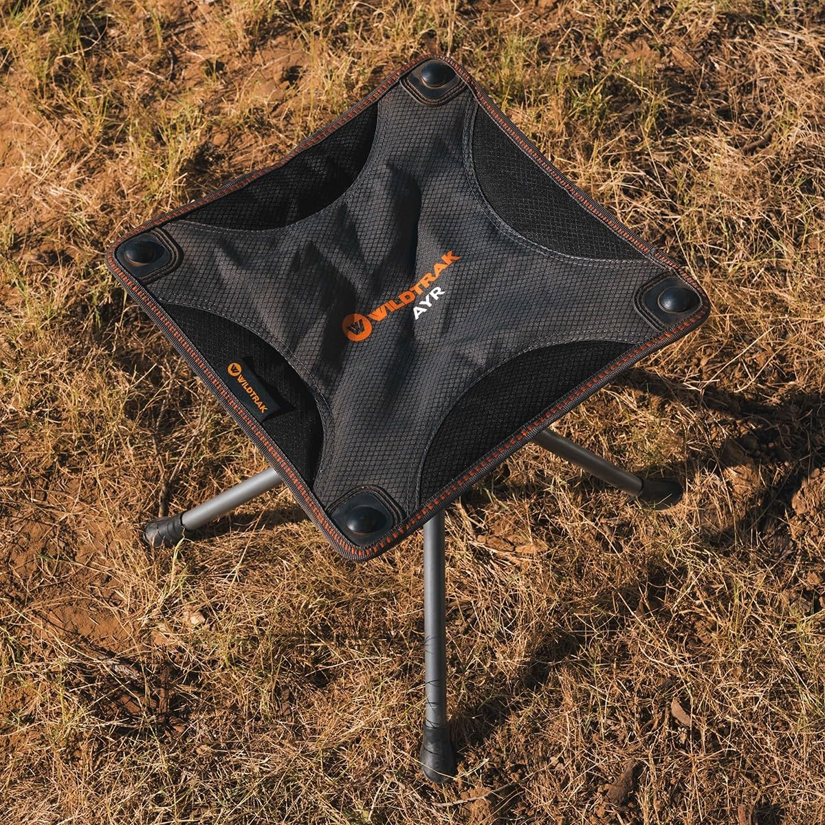 Wildtrak Steel Ayr Foldable 4-Leg Camp Stool, 36 Cm X 36 Cm X 40 Cm Size