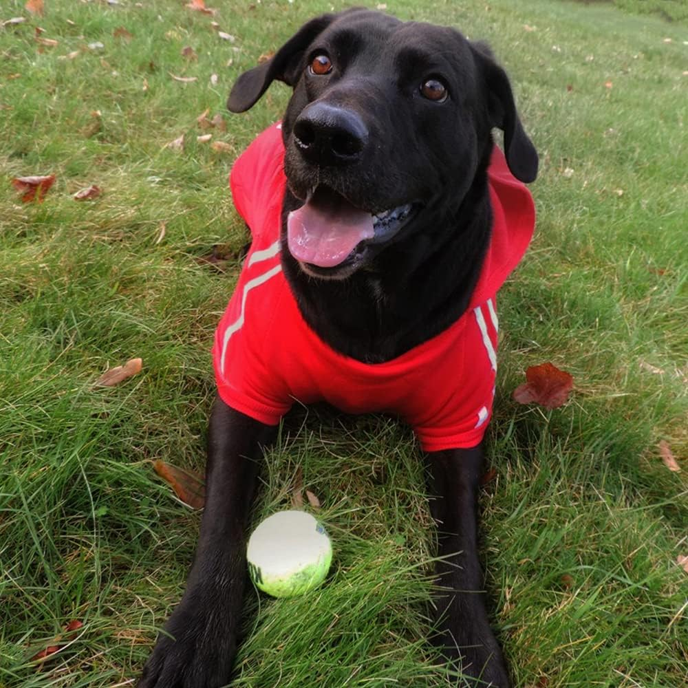 EASTLION Large Dog Warm Hoodies Coat Clothes Sweater Pet Puppy T Shirt,Grey 3XL image number 2