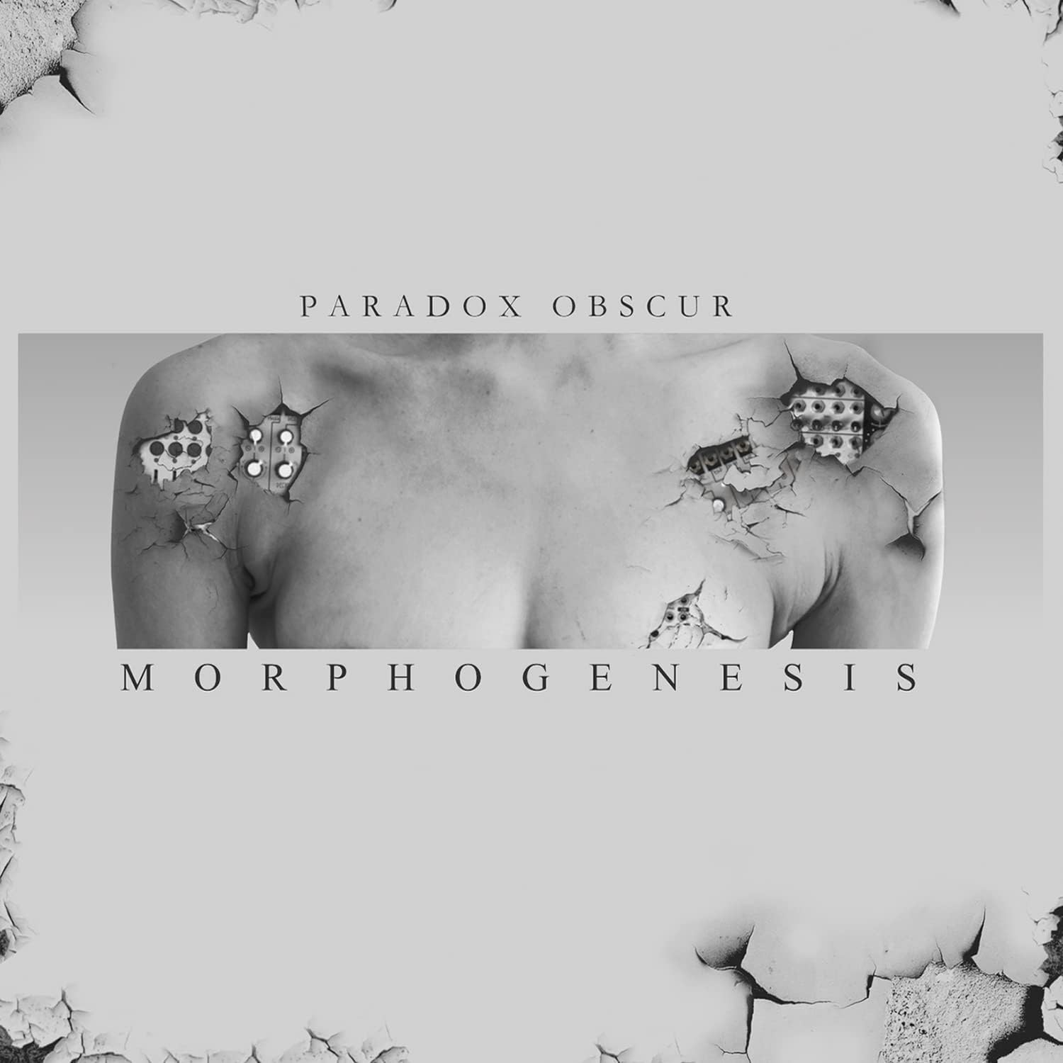 Morphogenesis (Limited Edition LP) (LP)