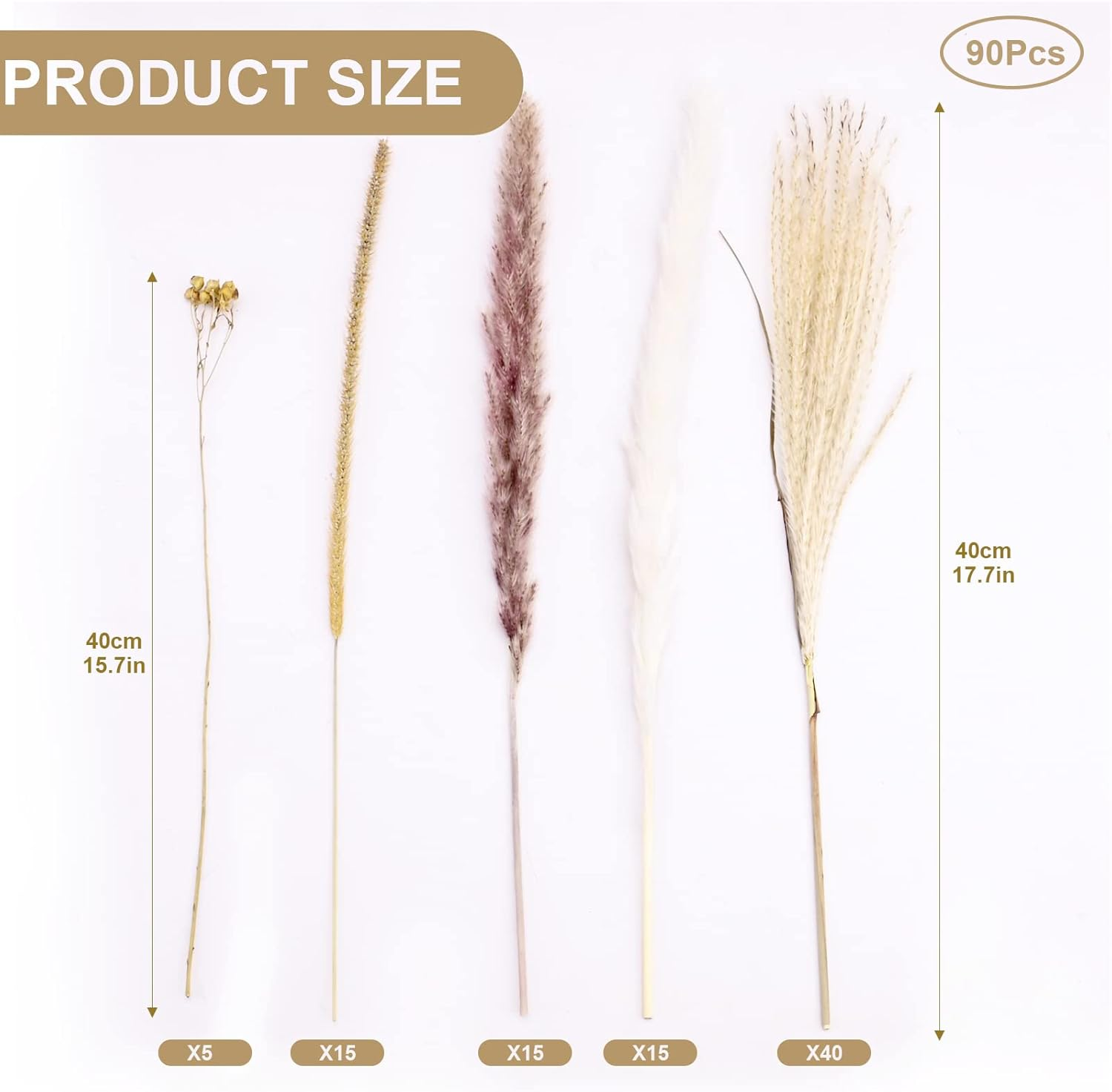 90Pcs Natural Pampas Grass Natural Dried Flowers Bouquet Fluffy Pampas Grass Decor with 5 Different Flower Variants Ideal for Vases Decoration Boho Room Decor Wedding Decor image number 4