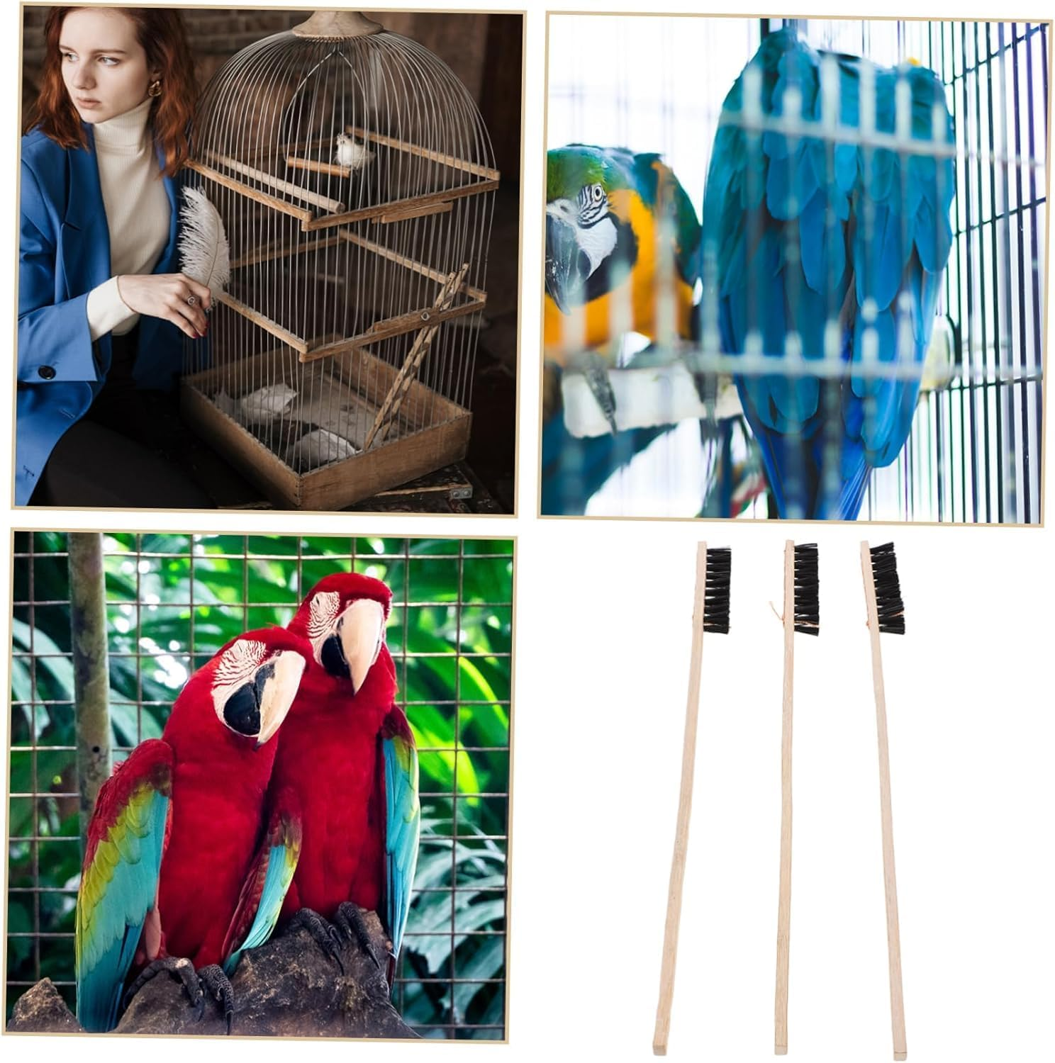3Pcs Bird Cage Cleaner Brush, Wooden Birdcage Brush, Long Handle Bird Cage Brush Suitable for Cleaning the Bird Cage and Grooves or Narrow Gaps image number 6