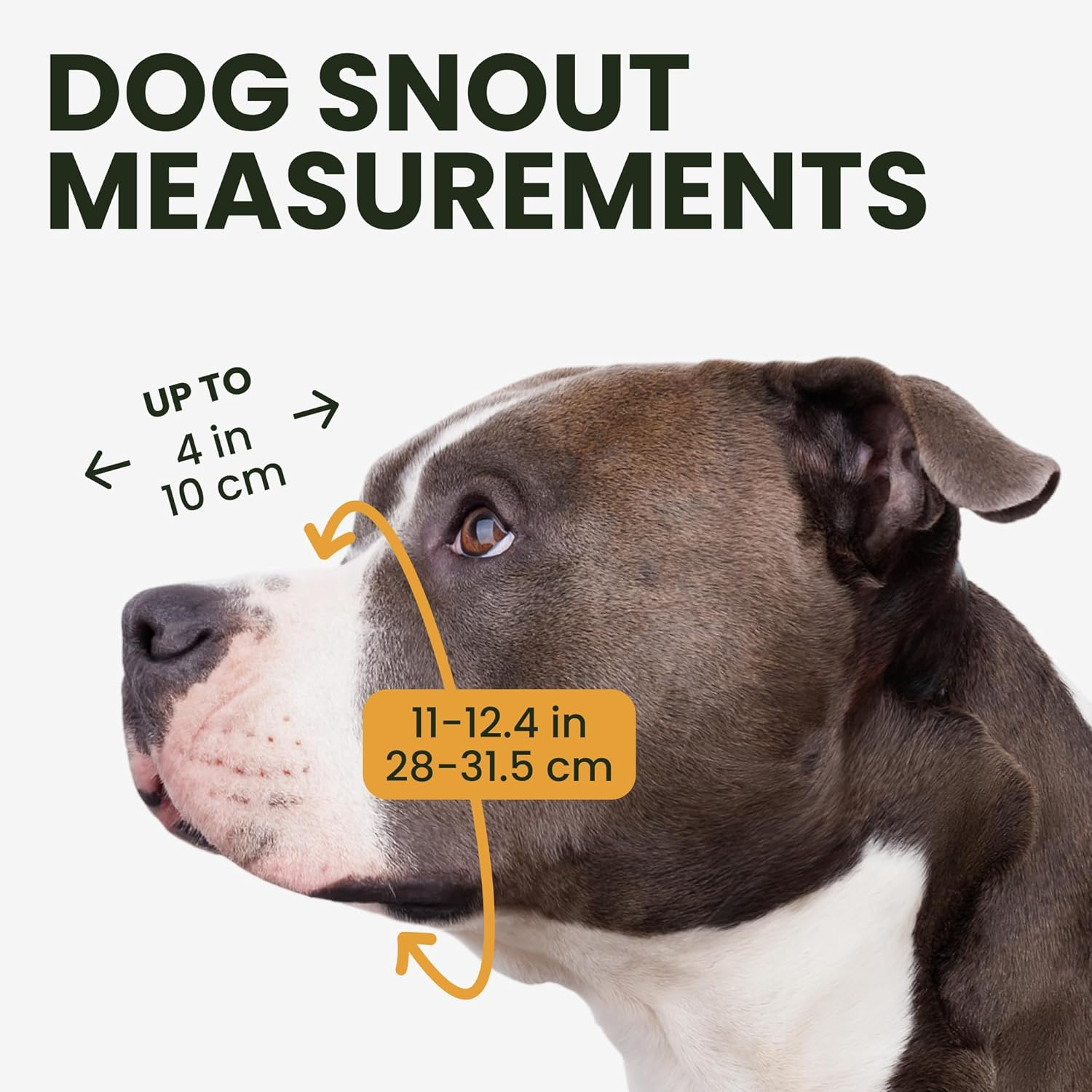 BRONZEDOG Muzzle for Pitbull Dog Made of Breathable Metal Basket for Large Dogs Such as Amstaff and Staffordshire Terriers - with Nylon Straps - Prevents Biting, Chewing and Barking