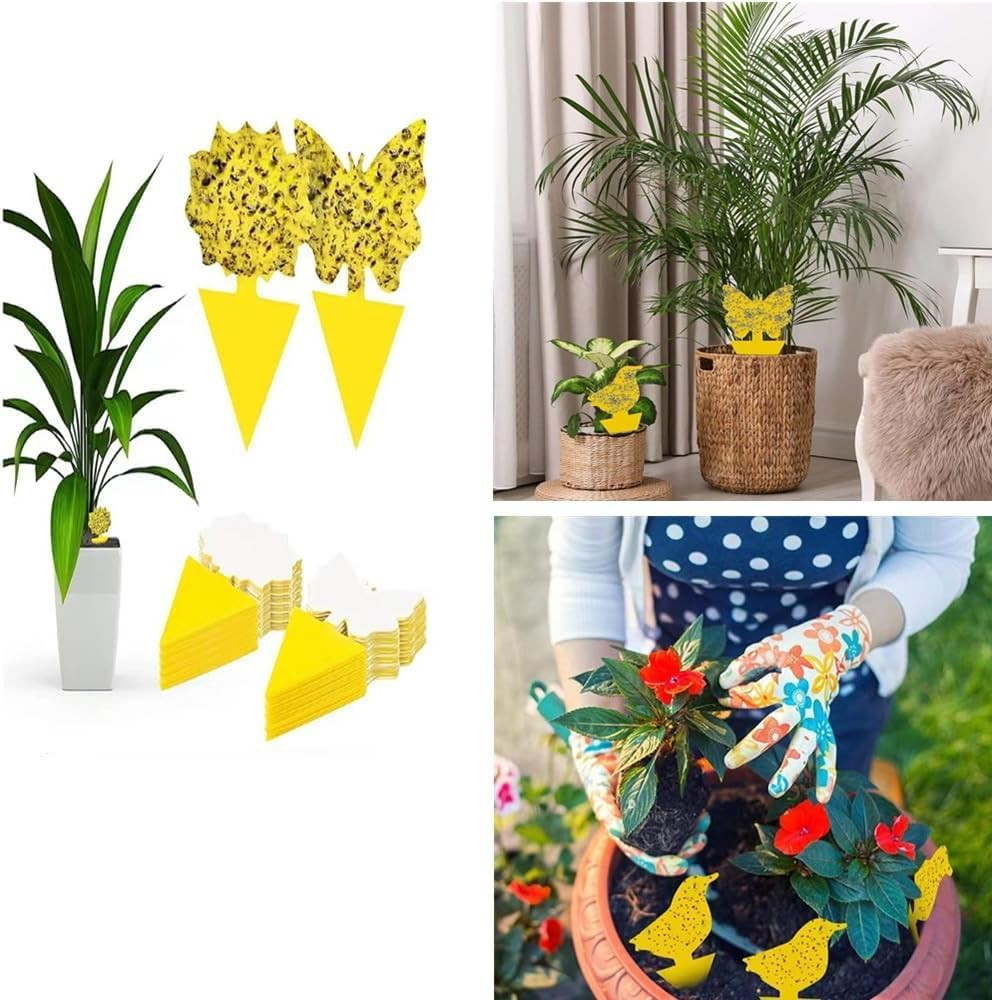 Sticky Fly Traps,Plant Fly Stickers,Caasfooy 100Pcs Flying Insects Traps,Sticky Bug Traps Fungus Traps for Plants Kitchen Indoor and Outdoor,Mosquitos, Dual-Sided Yellow Insect Catcher image number 5