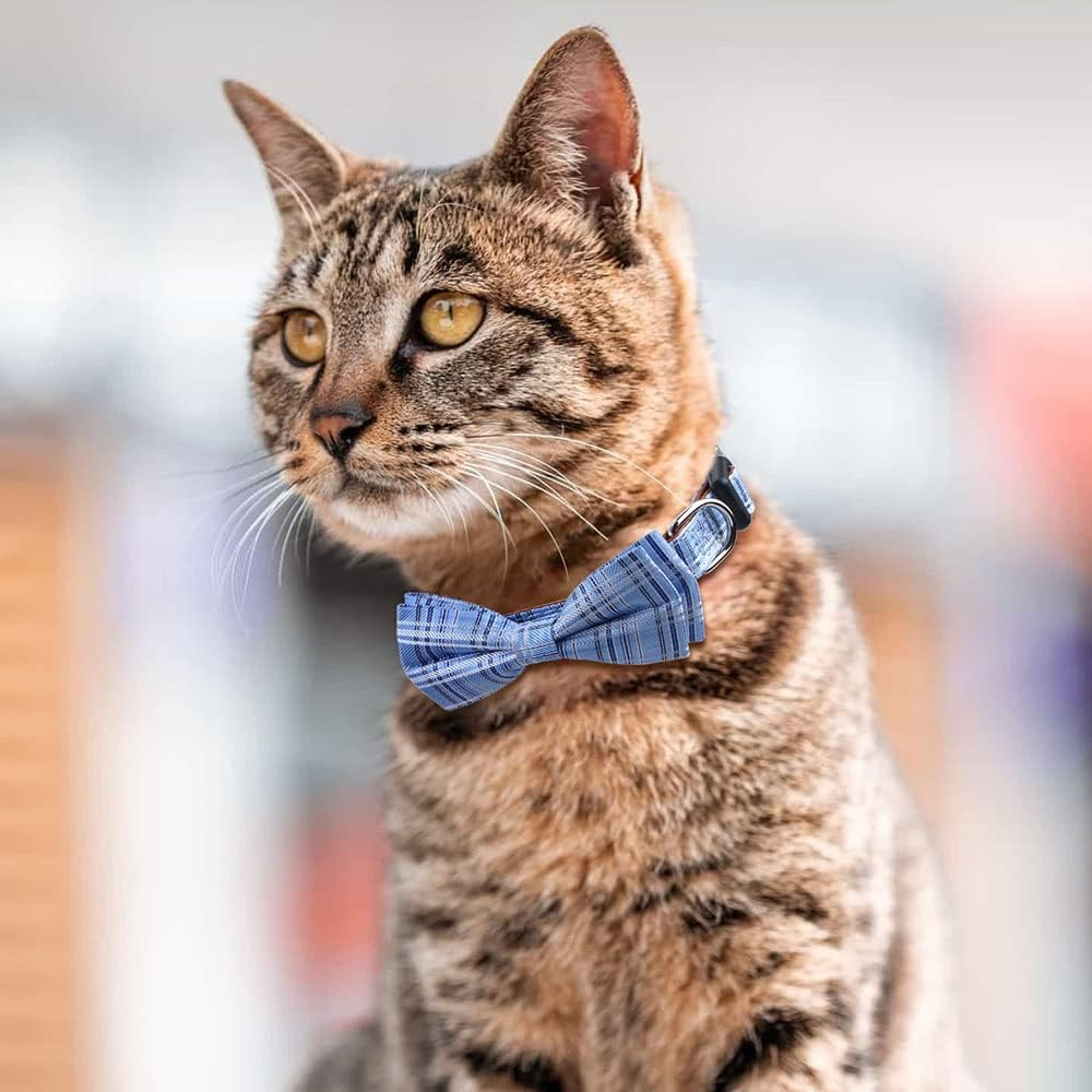 Rhea Rose Dog Collar with Bow Tie for Girl or Boy Gift Soft Durable Bowtie image number 4