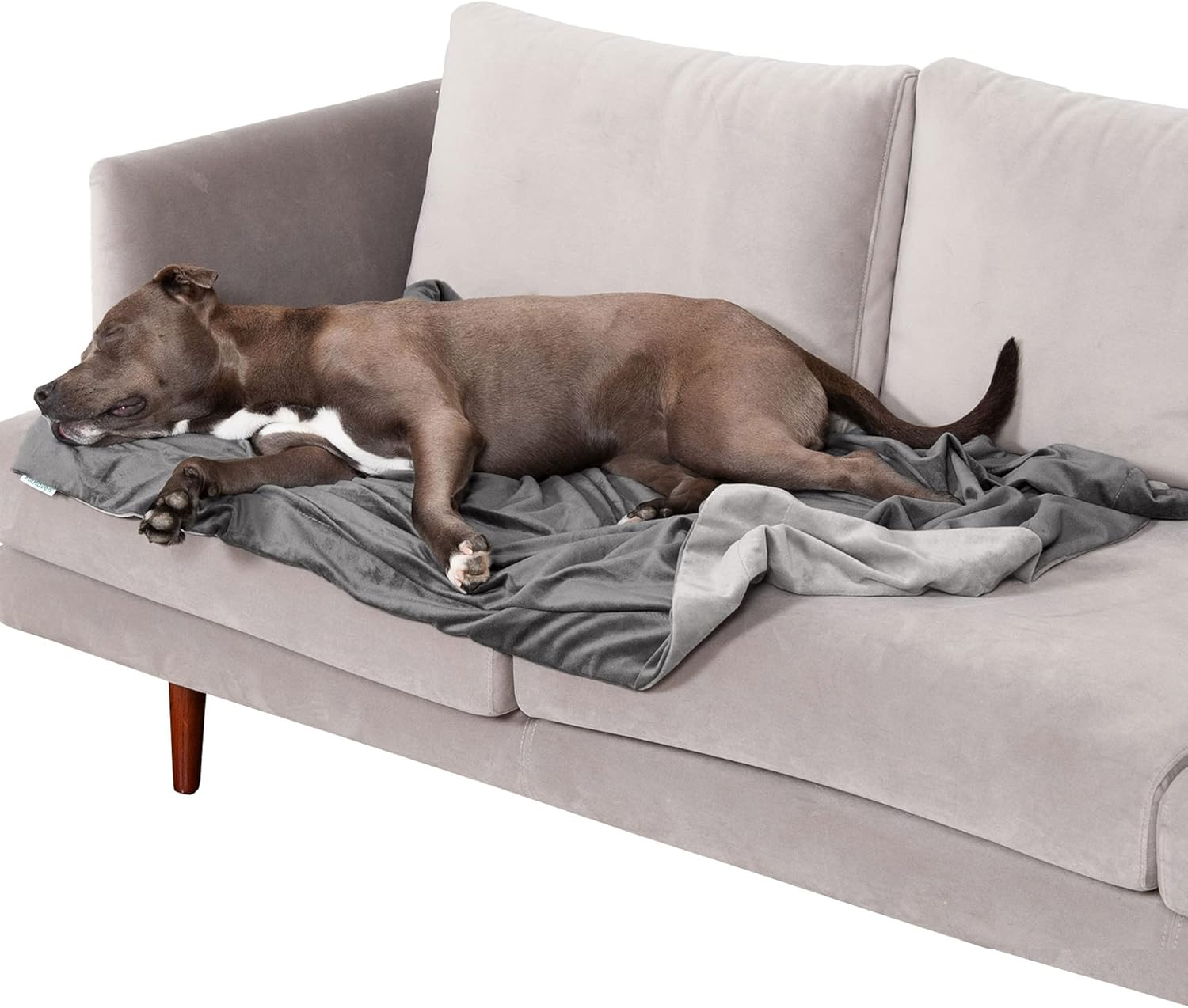 Furhaven Large Waterproof Two-Tone Luxe Velvet Dog Blanket, Washable - Granite Gray, Large