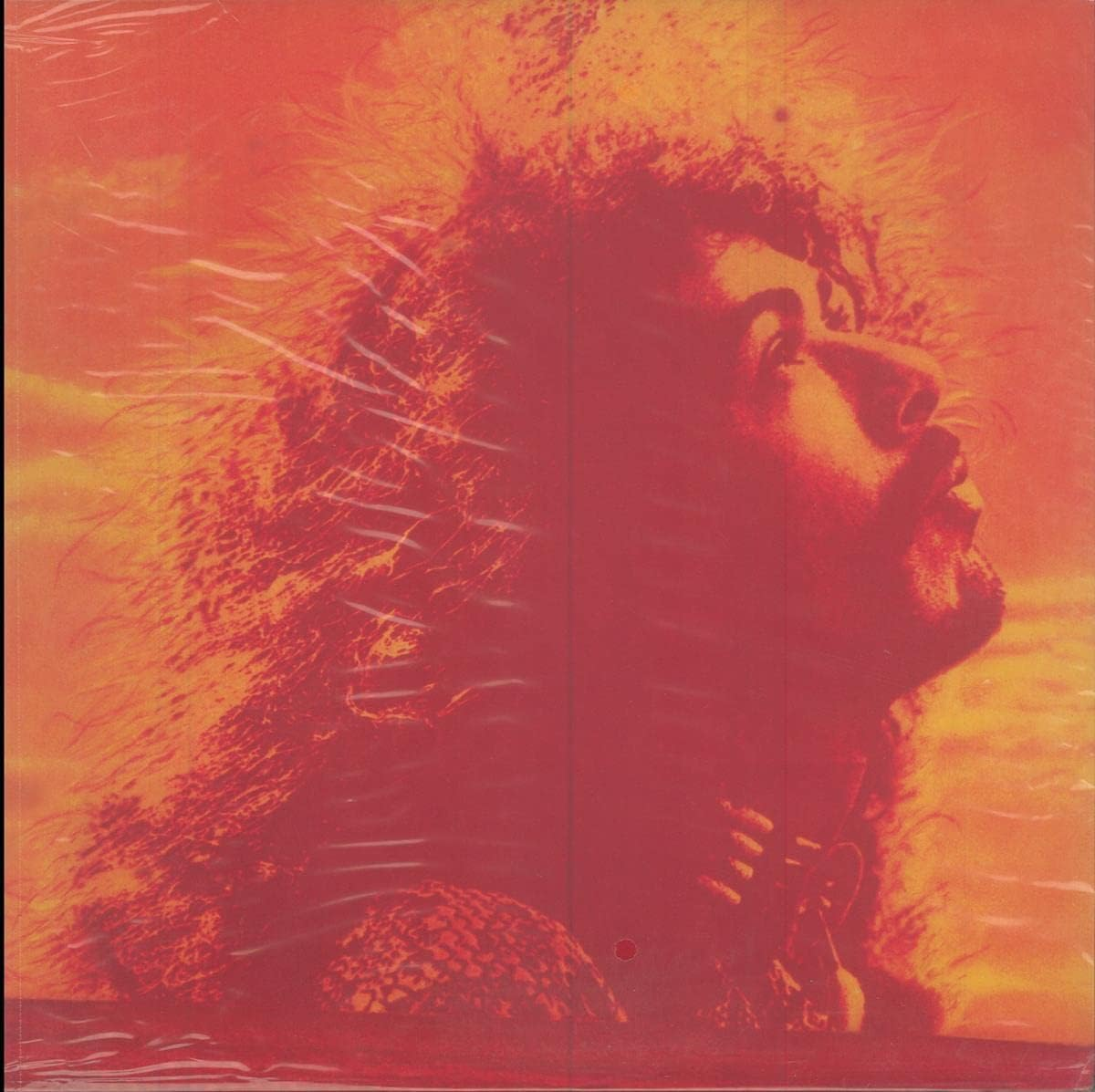 Live Live image number 1