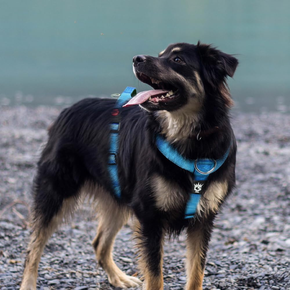 TSPRO Premium Heavy Duty Tactical Dog Harness for Medium/Large Dogs, No Pull, Adjustable, Padded Handle & Quick-Release Buckles, Ideal for Hiking, Walking, Running, Training (Black M) image number 3