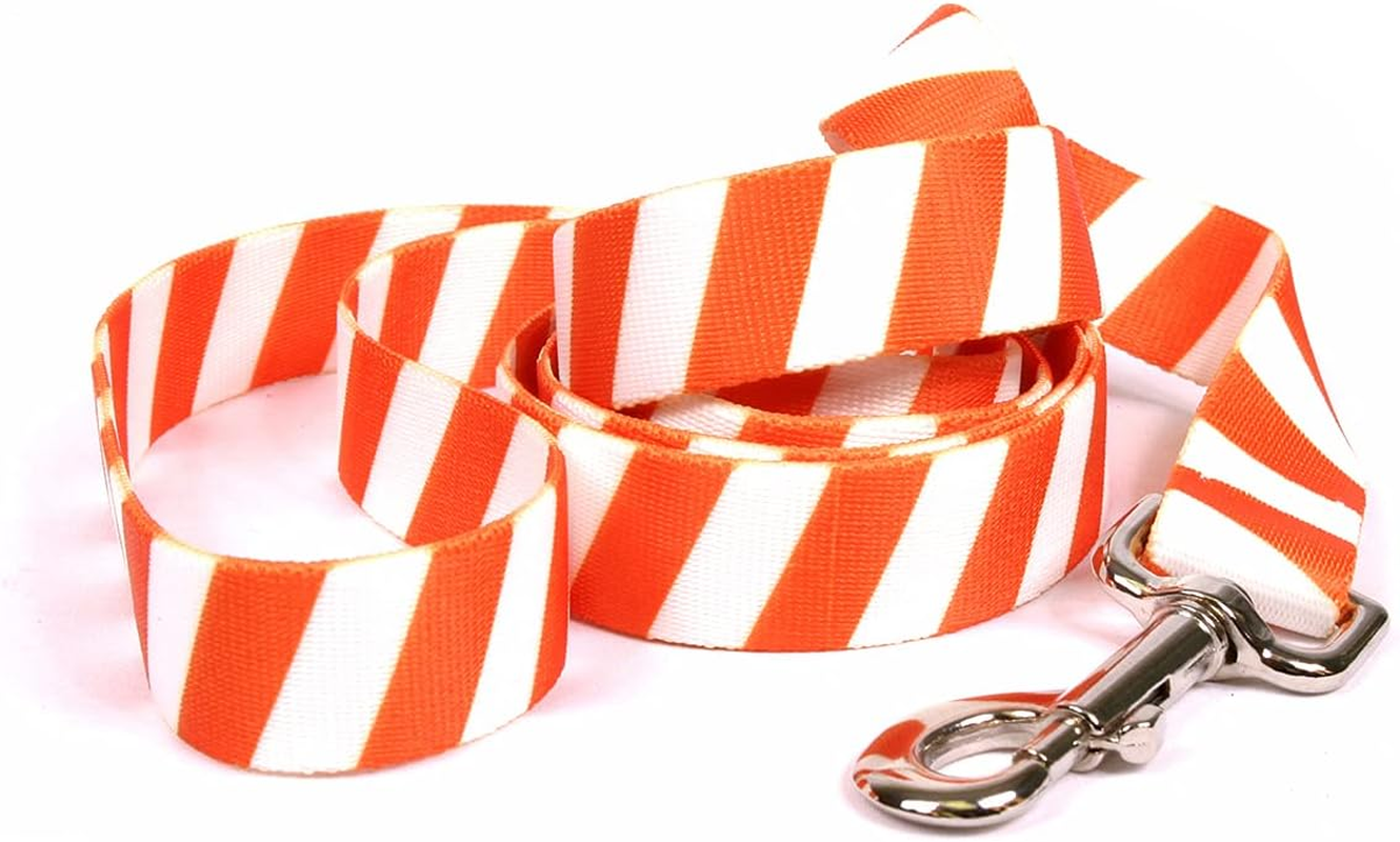 Yellow Dog Design Team Spirit Orange and White Coupler Dog Leash-Size Medium-3/4 Wide and 12 to 20" Long