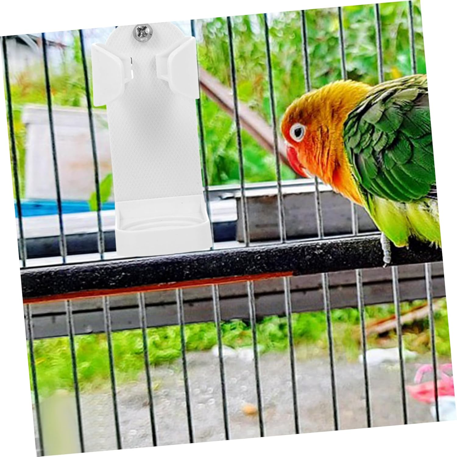 3Pcs Compact Pet Parrot Feeder Clips Bird Fruit Clamps Quick-Fix Clamps for Bird Cages Tidy Clean