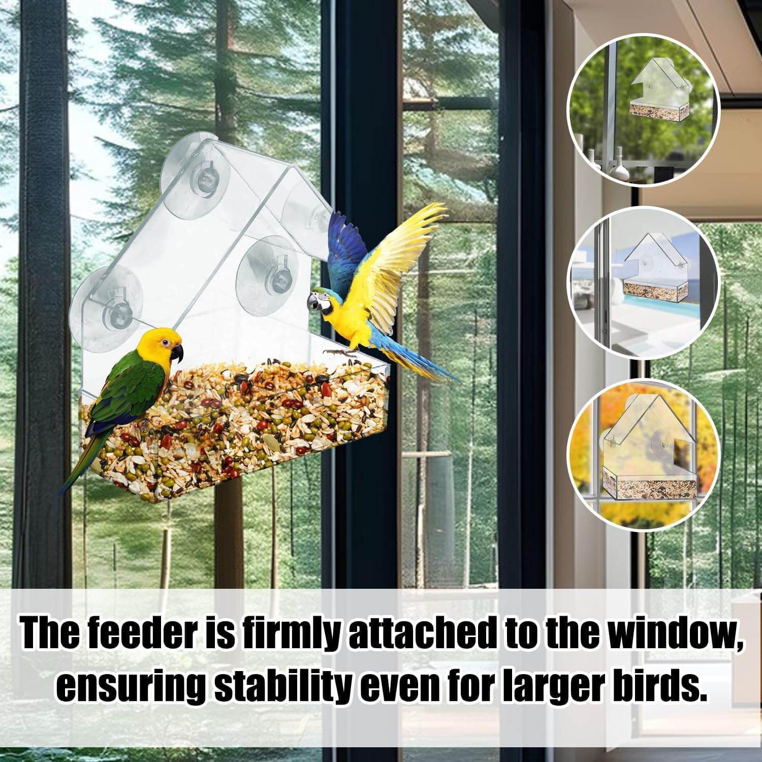 Window Bird Feeder &ndash; Clear Acrylic Bird Feeder, See-Through Design for Close-Up Bird Watching, Easy to Install & Clean image number 1
