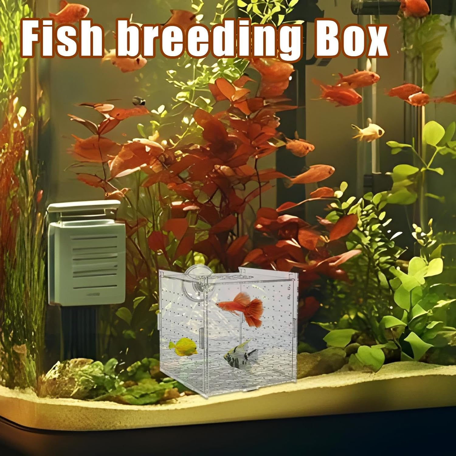 Vgvgaj Fish Breeder Box - Suction Cup Aquarium Breeder Box - Acrylic Nursery Divider Container Hatchery Incubator for Shrimp Guppy Egg Angelfish Fry Acclimation image number 1