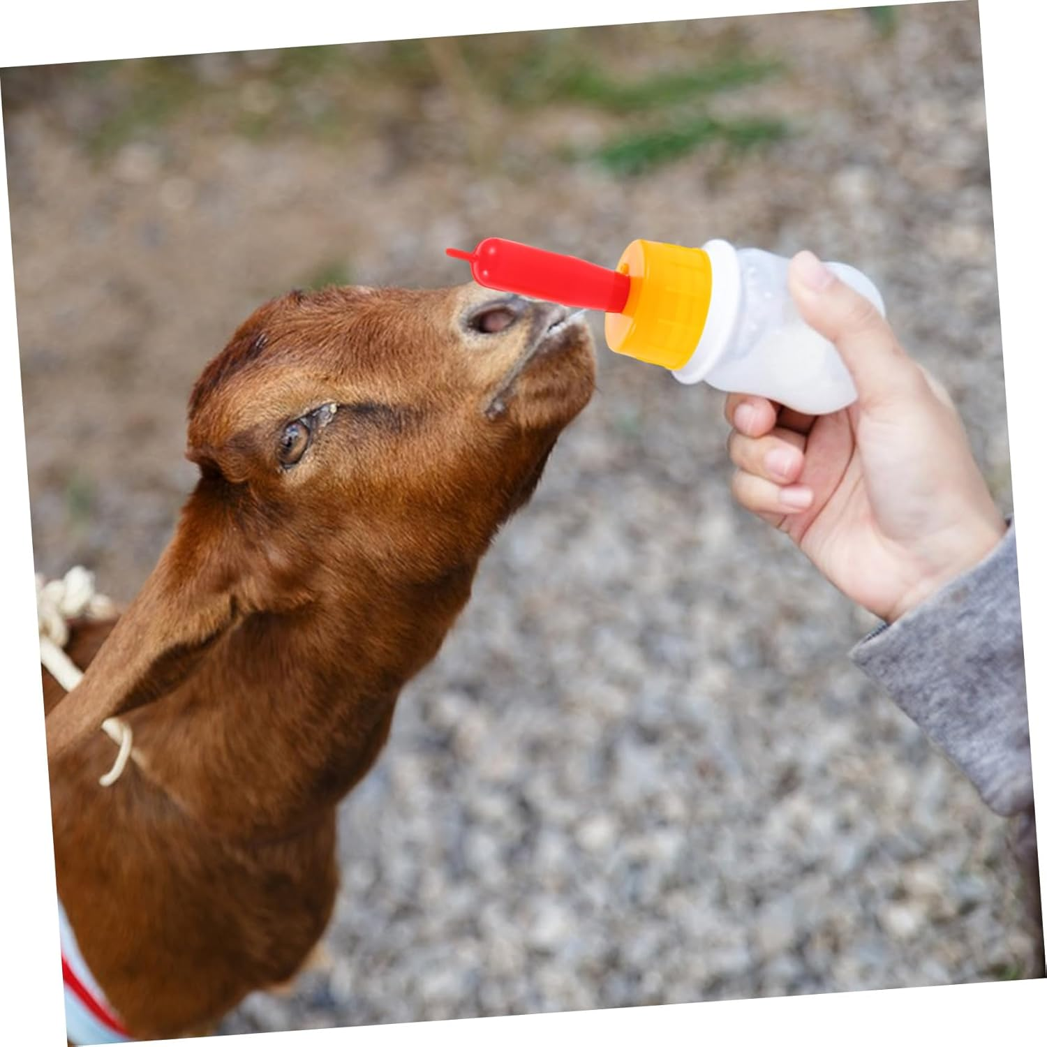 Kisangel 30Pcs Soft Silicone Goat Nipples for Feeding Goats and Lambs Small Animal Milk Drink Pacifiers Compatible with Multiple Bottles Safe Nursing Teats for Calves and Mammals image number 5