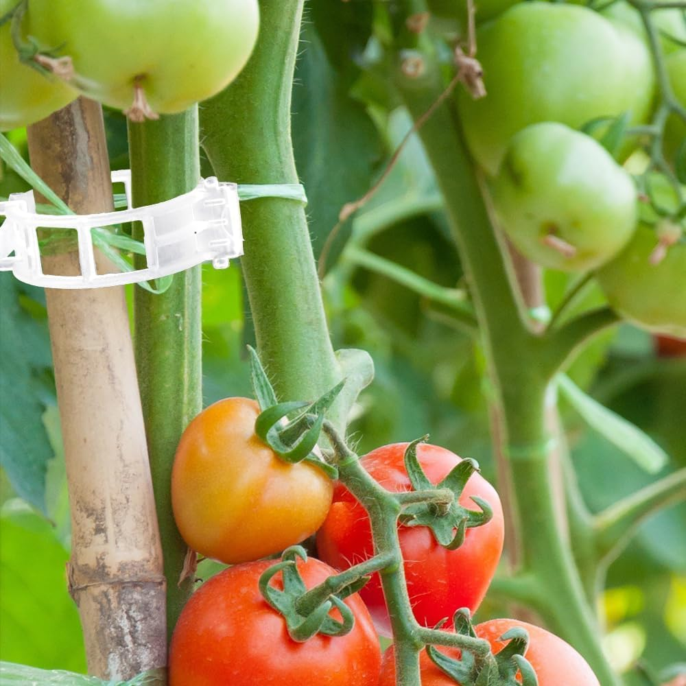 Plant Clips for Climbing Plants 200Pcs Tomato Cage Plant Wall Clips Plant Vine Wall Clips Garden Clips Tomato Clips Tomato Plant Supports for Outdoor Plants Plant Stem Support Climbing Plant Support image number 5