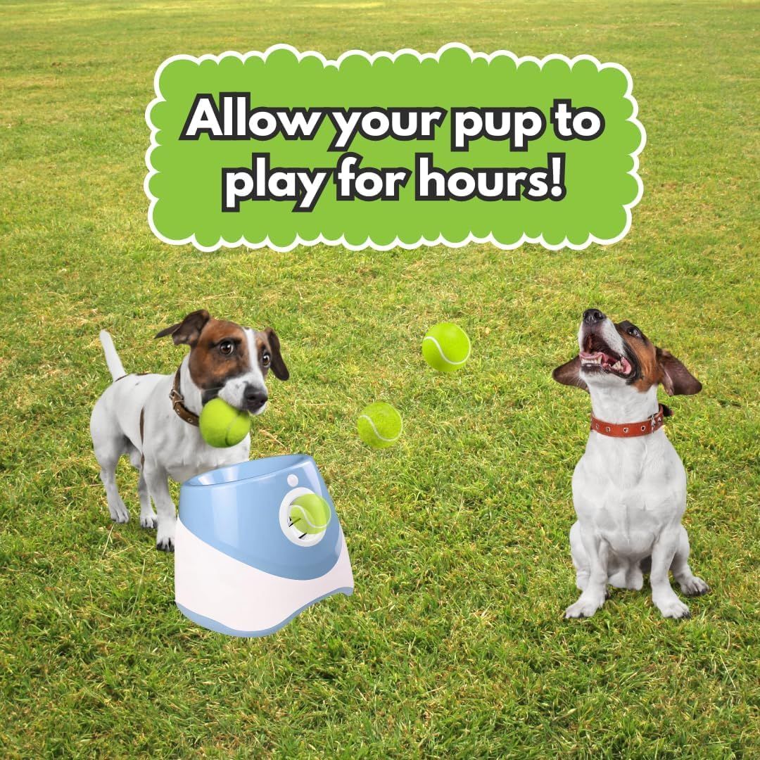 Automatic Ball Launcher for Small, Medium Dog/Puppy with 6 Small Tennis Balls