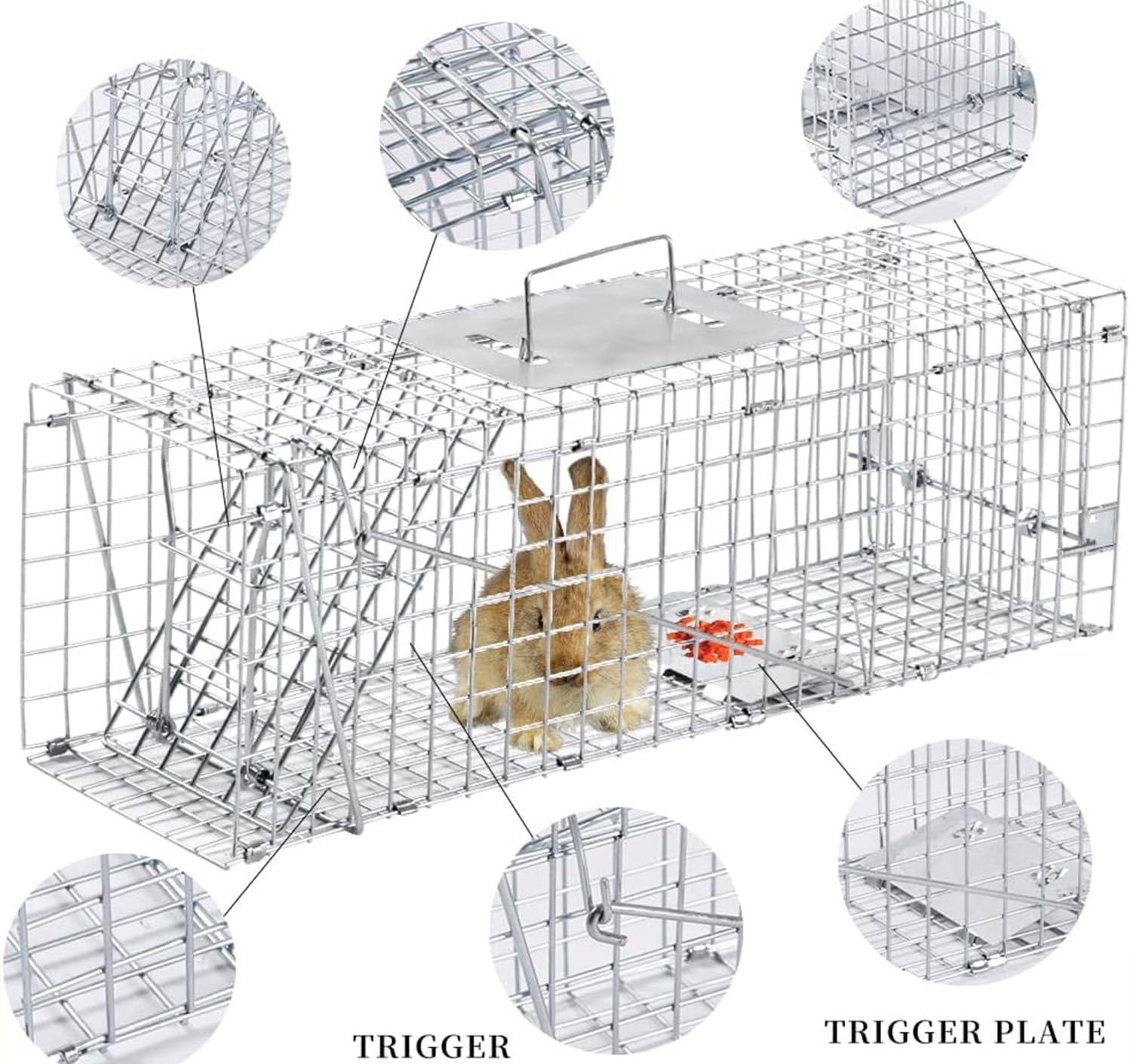 Live Animal Trap Humane Cat Trap Catch Forfor Catching Small Animals like Raccoons, Beavers, Groundhogs, Foxes, Armadillos, Cats, Rabbits, Skunks, Possums. Humane Catch - and - Release. image number 1