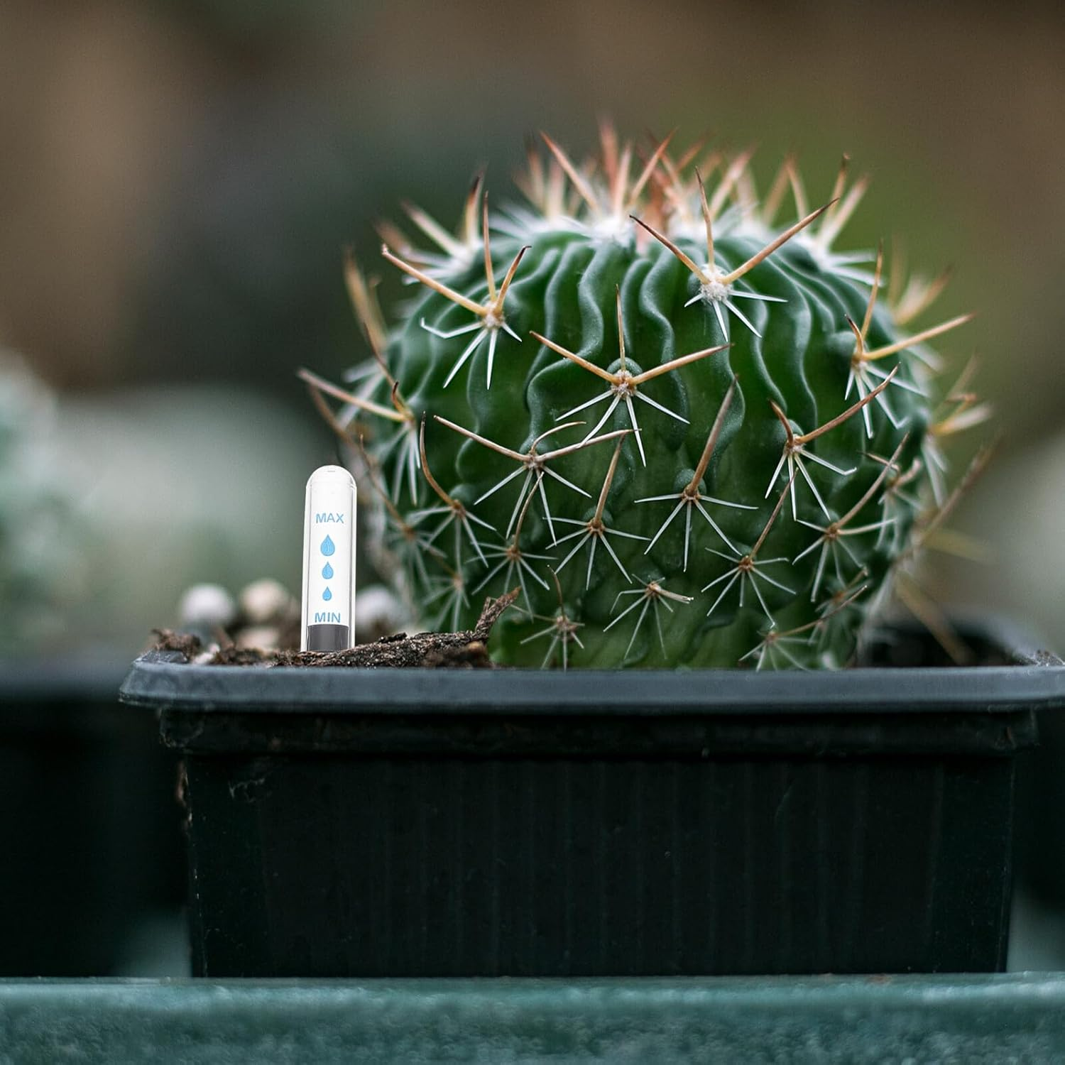 Bestonzon 4Pcs Flowerpot Water Level Indicators Floating Gauge with Clear Scale for Plant Moisture Monitoring and Water Shortage Reminder Easy Assembly for Potted Plants image number 2