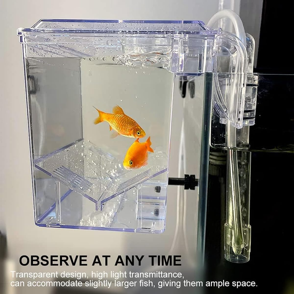 AIMALL External Aquarium Breeding Box &ndash; Transparent Isolation and Hatching Box with Pneumatic Function, Suitable for Guppies and Small Fish, Dimensions 6.3 X 4.72 X 5.12 Inches image number 1