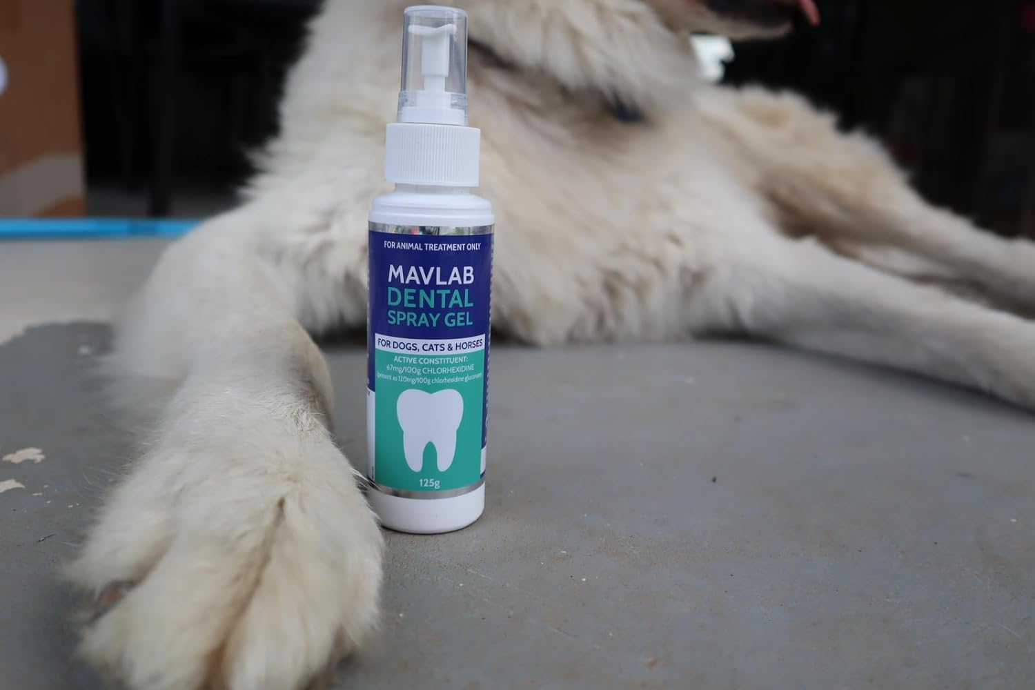 Mavlab Dental Spray Gel 125G for Dogs and Cats, Veterinary Formulated Oral Care to Reduce Plaque and Freshen Breath, Australian Made, Veterinary Registered image number 5